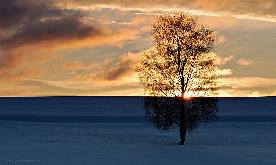 Winterstimmung im Mühlviertel