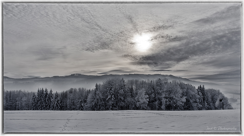 Nebelige Winterstimmung