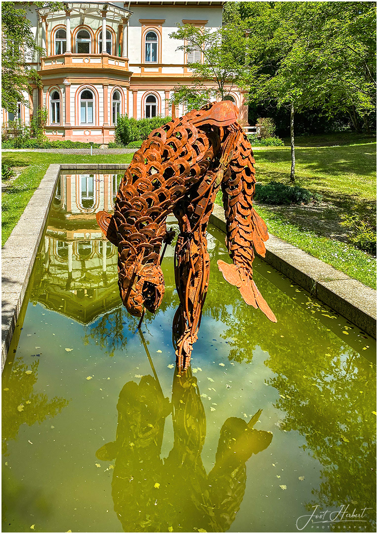 Fisch Wanderer... Kurpark Bad Hall(OÖ