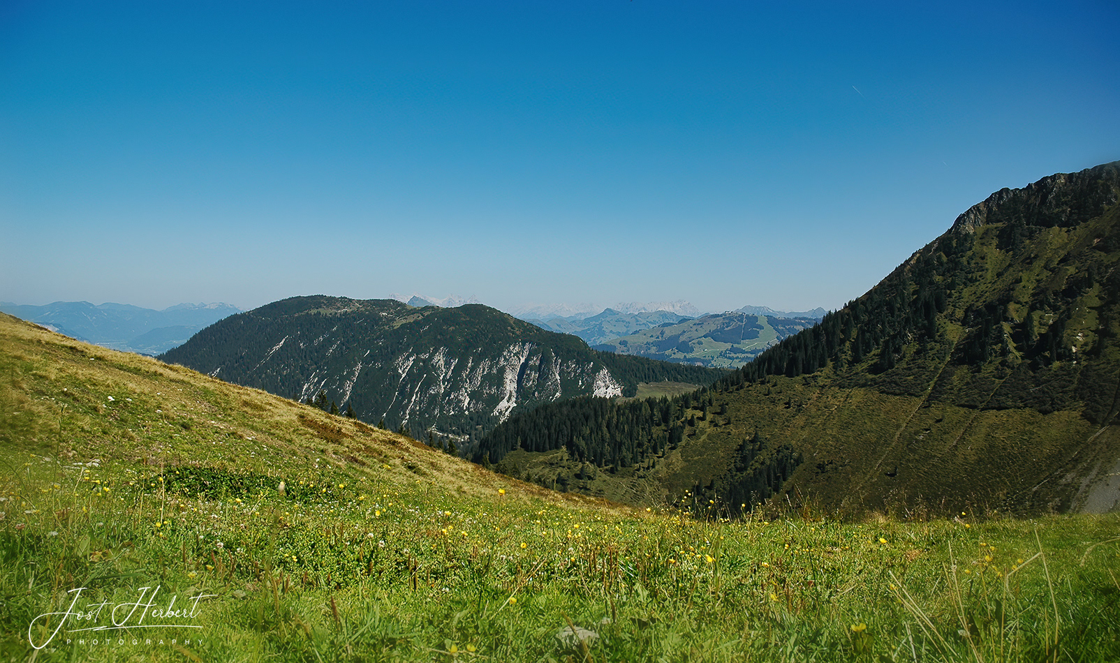 Auf der Alm in Tirol -1