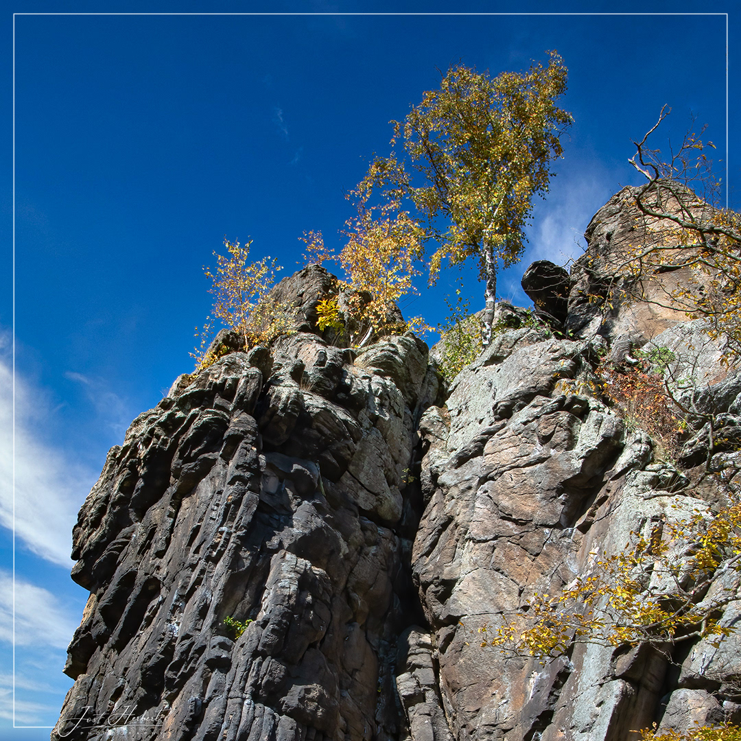 Mystisches Waldviertel
