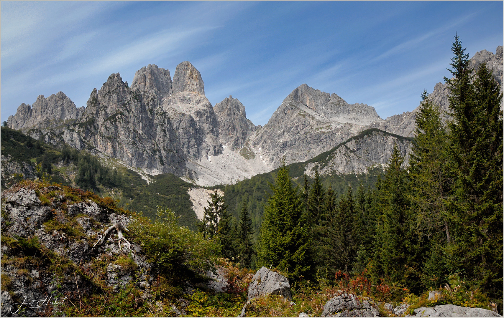 Große Bischofsmütze