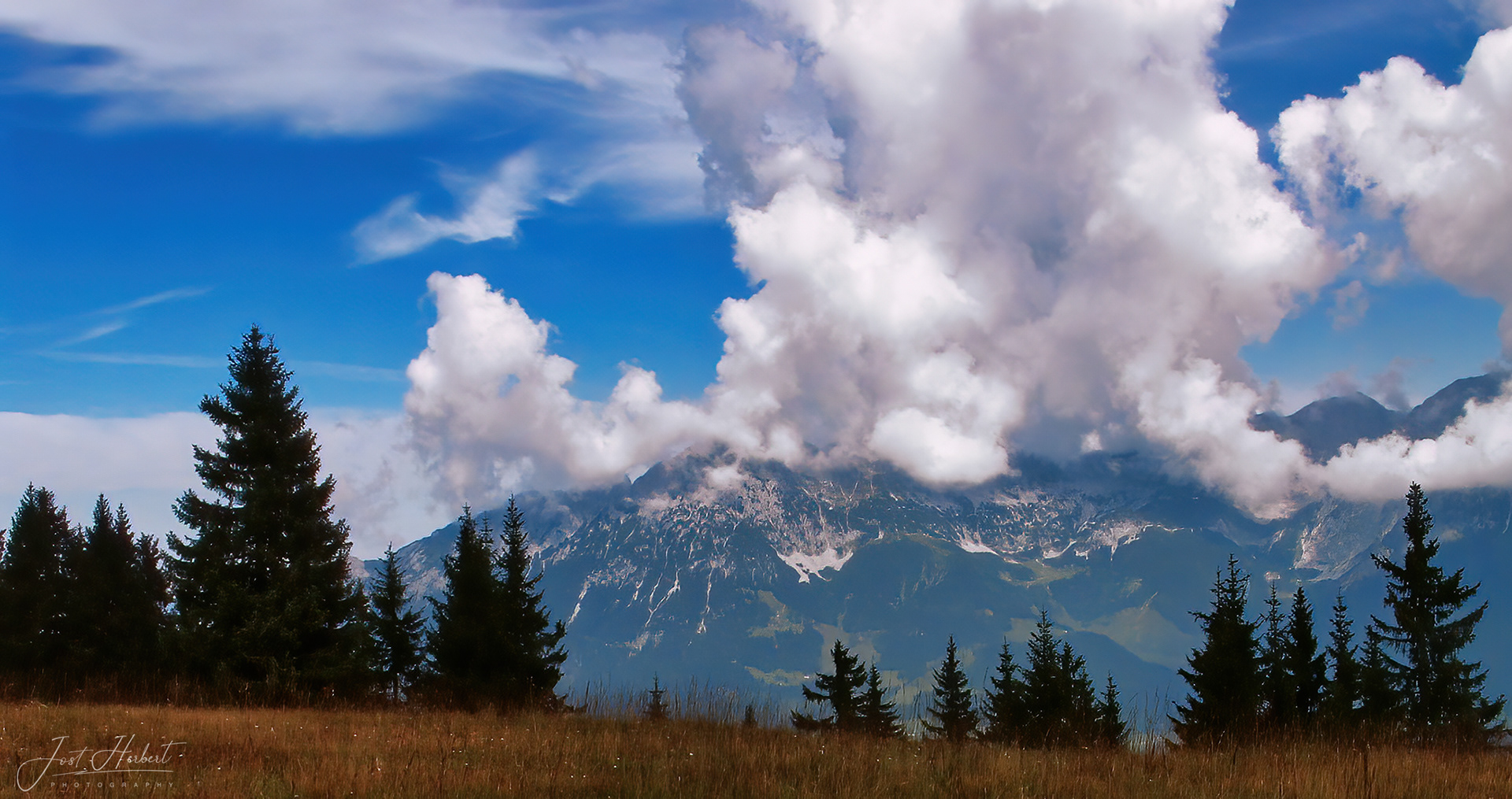 Auf der Alm in Tirol -2