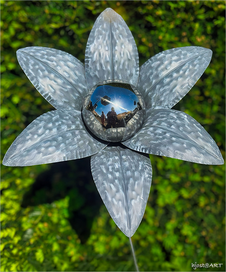 Spiegelblume - Gartenausstellung 