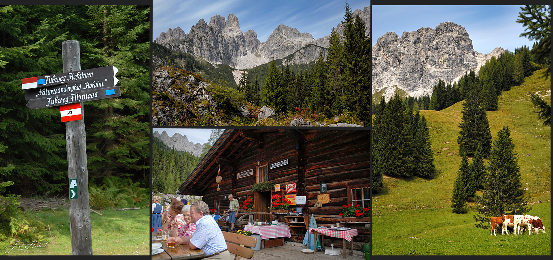 Hofalm bei Filzmoos/Salzburg