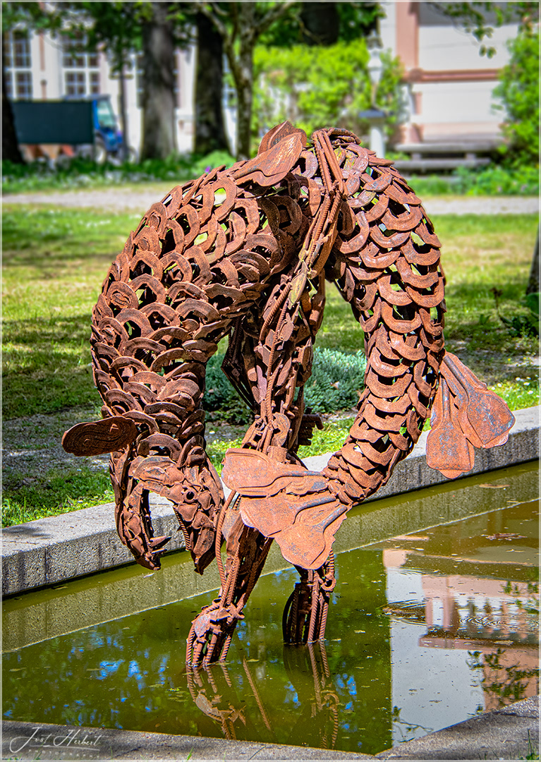 Fisch Wanderer... Kurpark Bad Hall(OÖ
