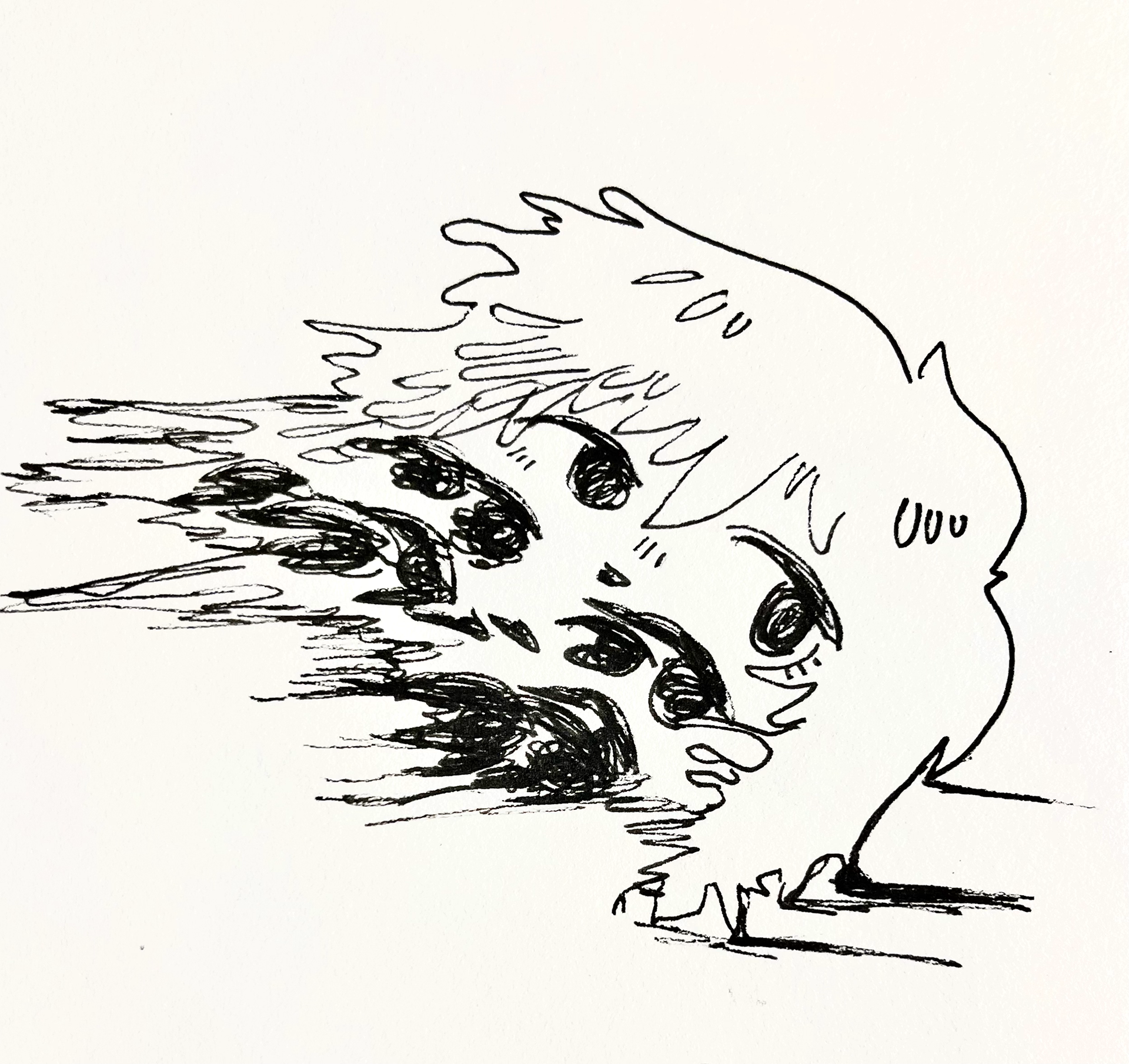 Dissolution, Ink on Paper, 2023