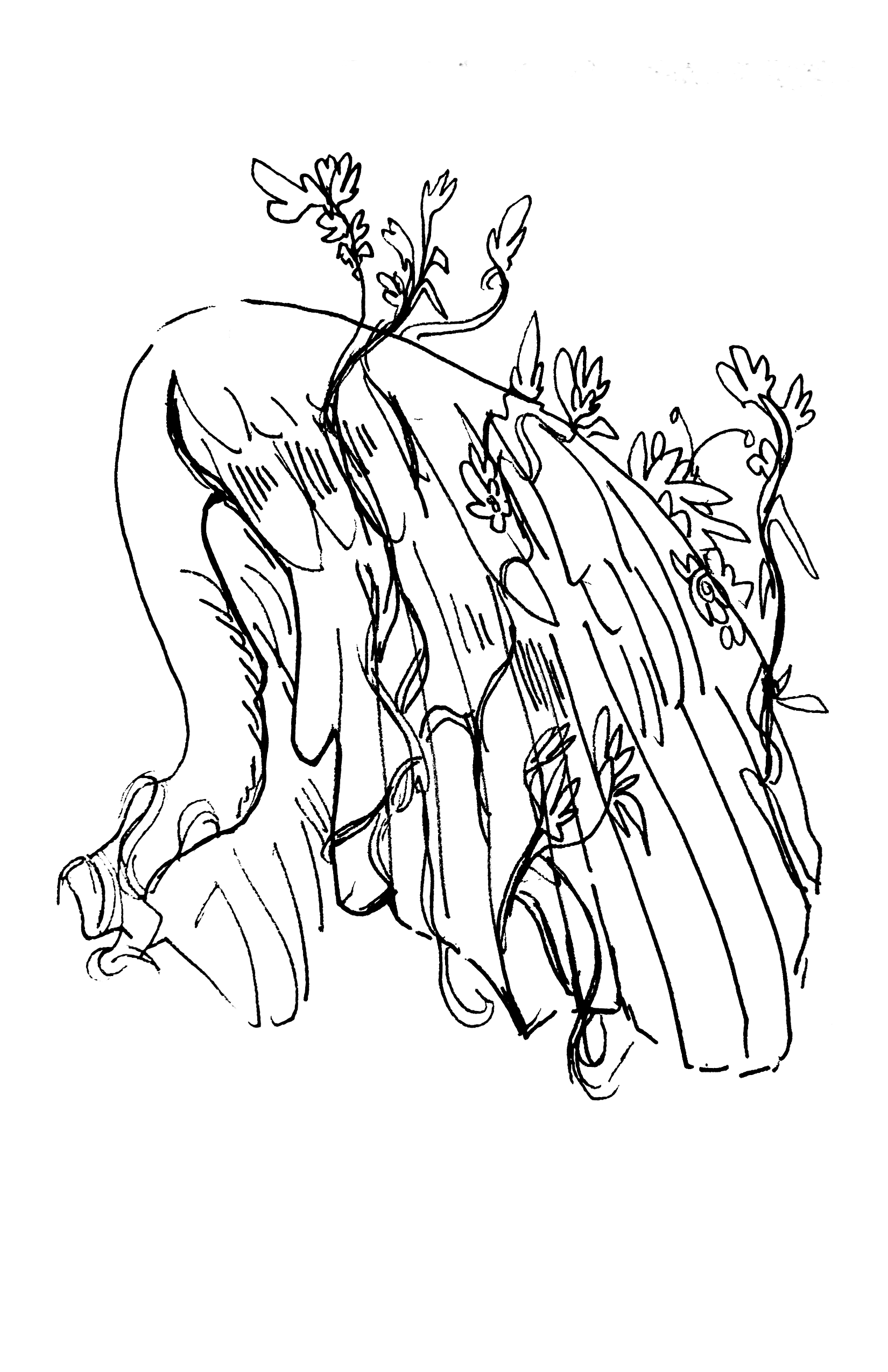 Wing, ink on paper, 5 x 8, 2023