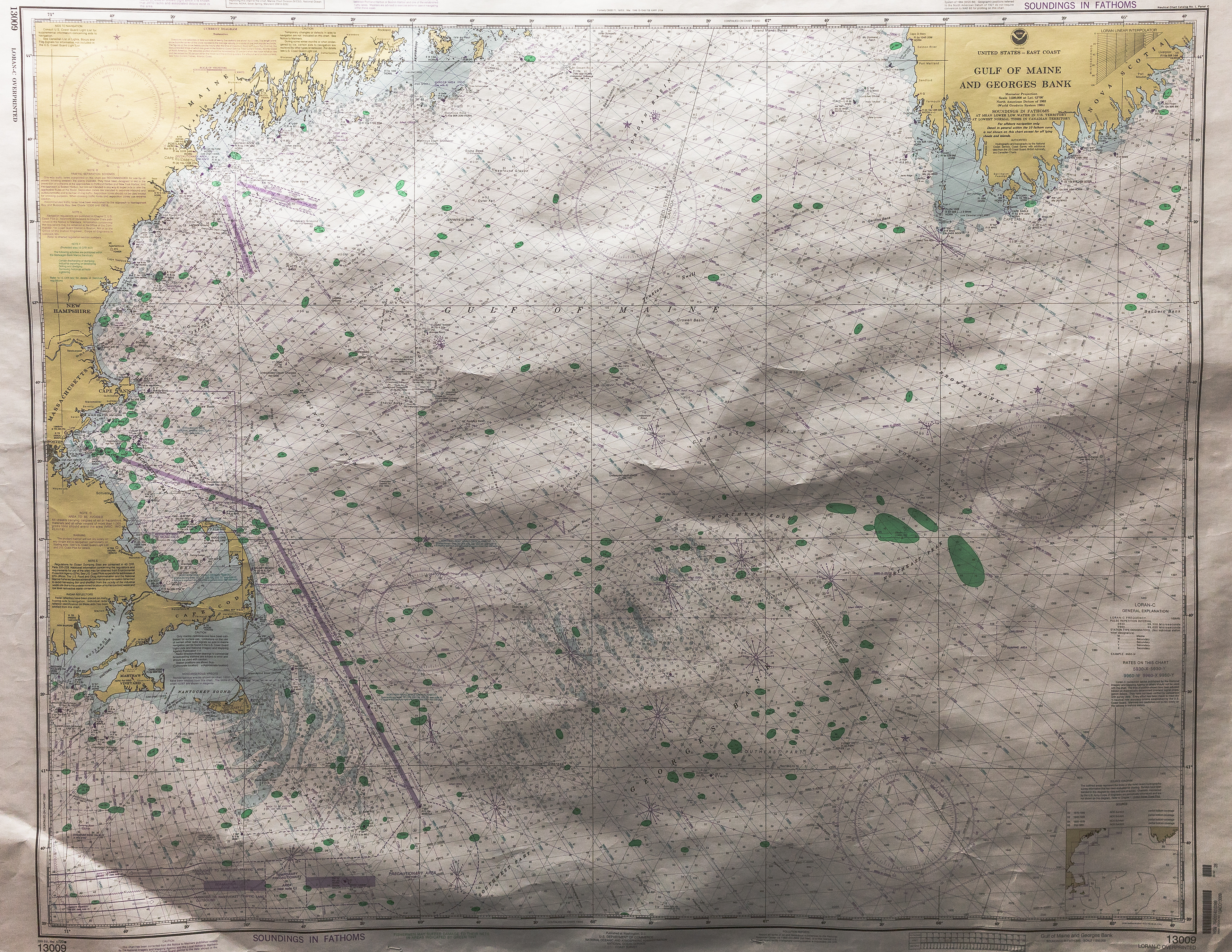 Cape Cod Bay, 2024