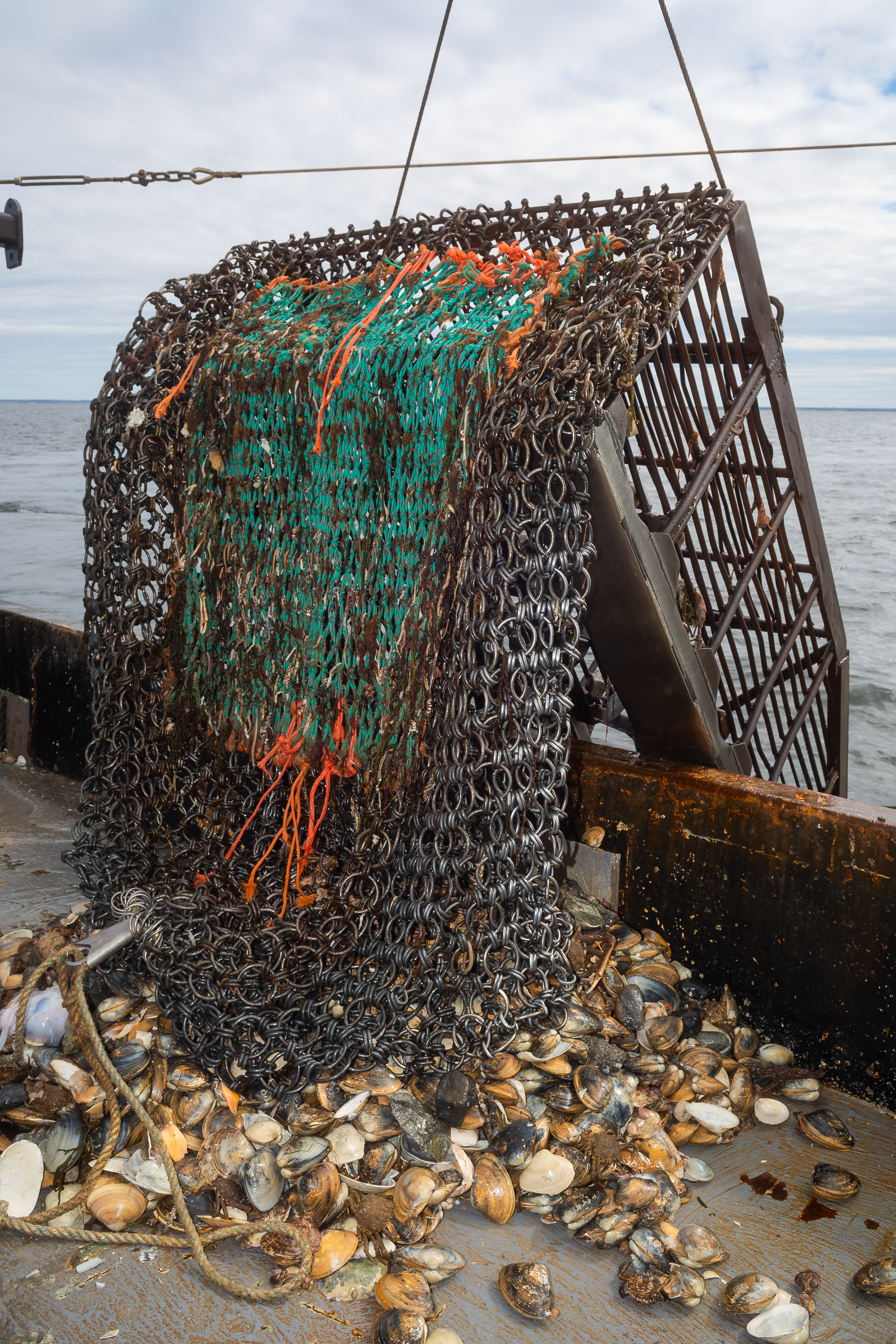 The Dredge, 2024