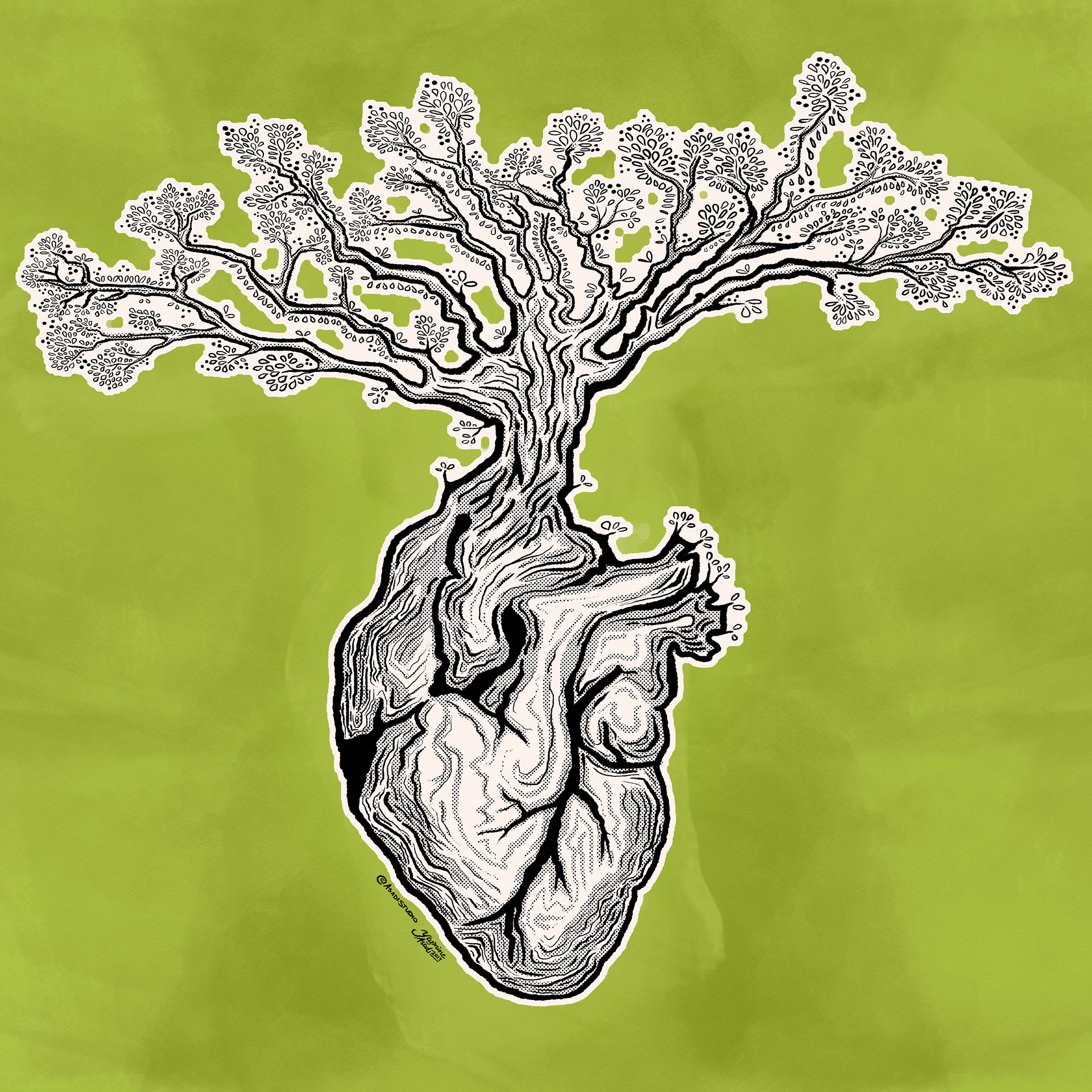 Olive Tree Dreams 2019