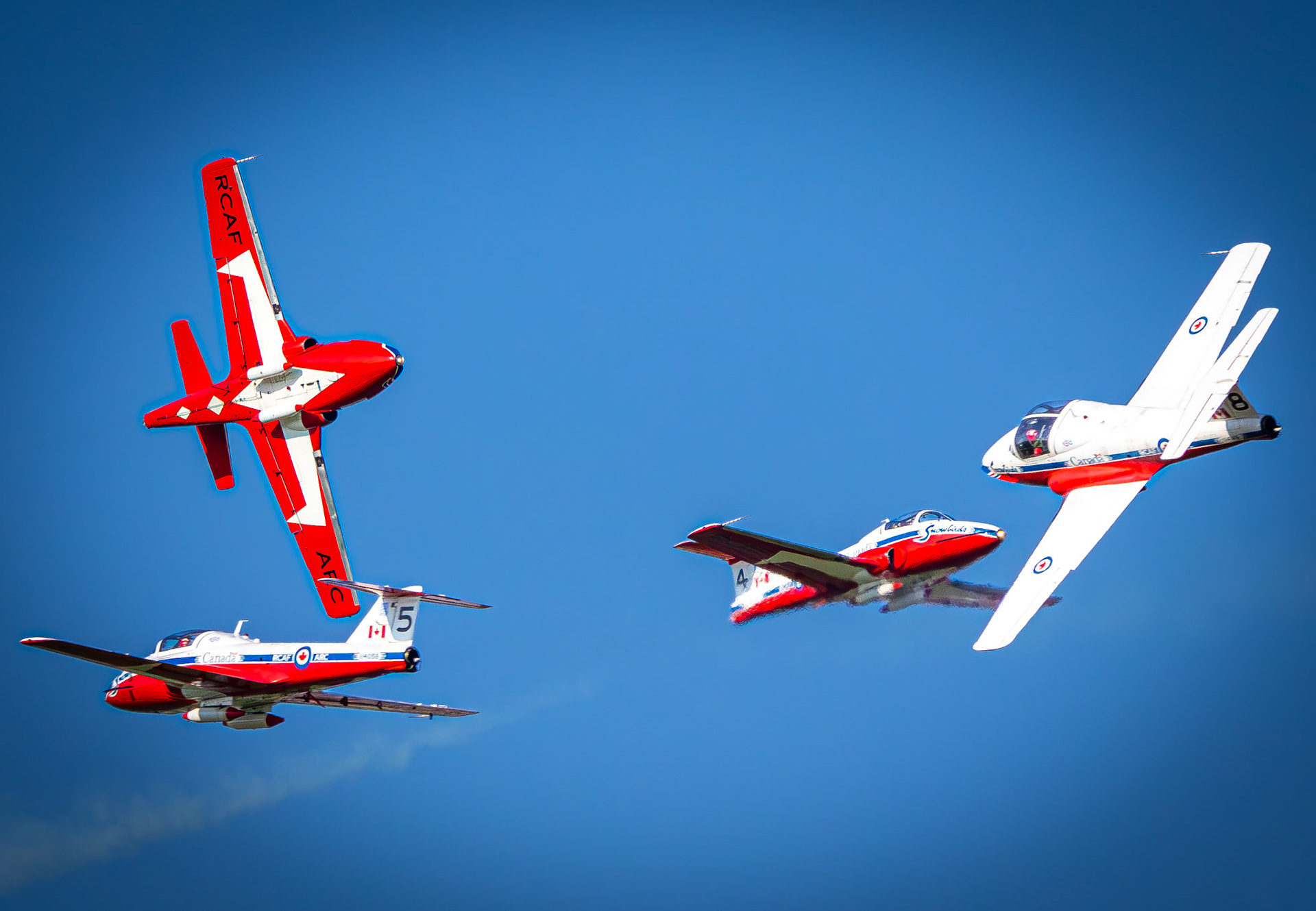 4 Snowbirds dodging each-other