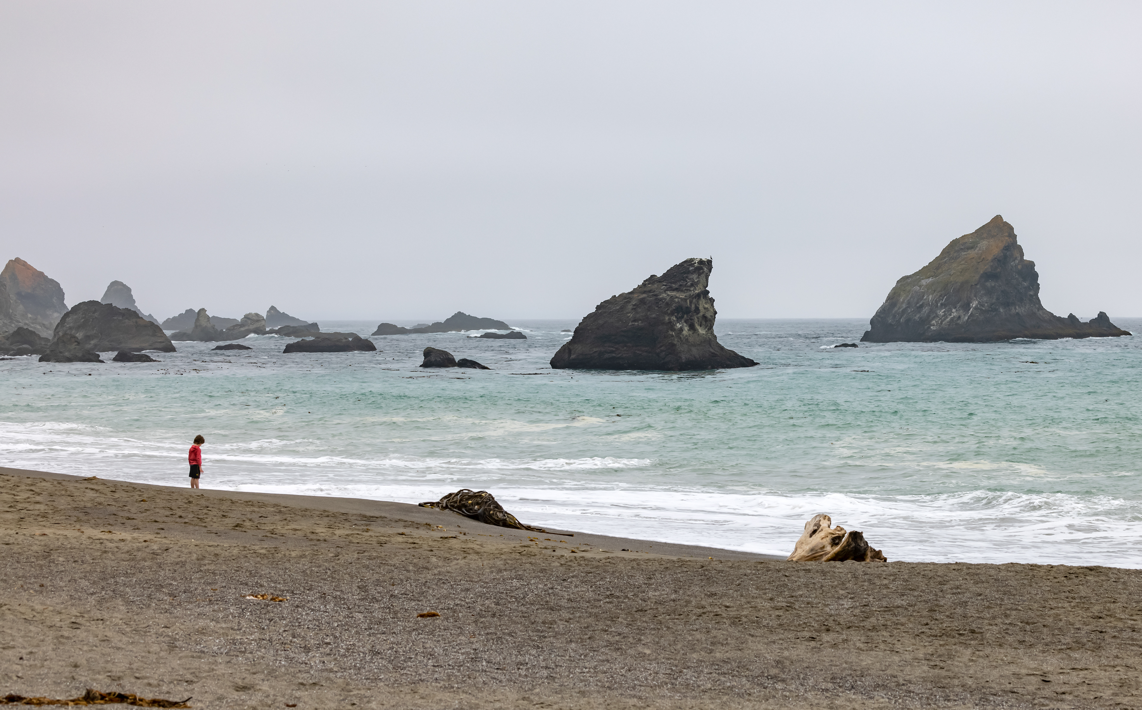 Discovery - Navarro Beach - Navarro, CA