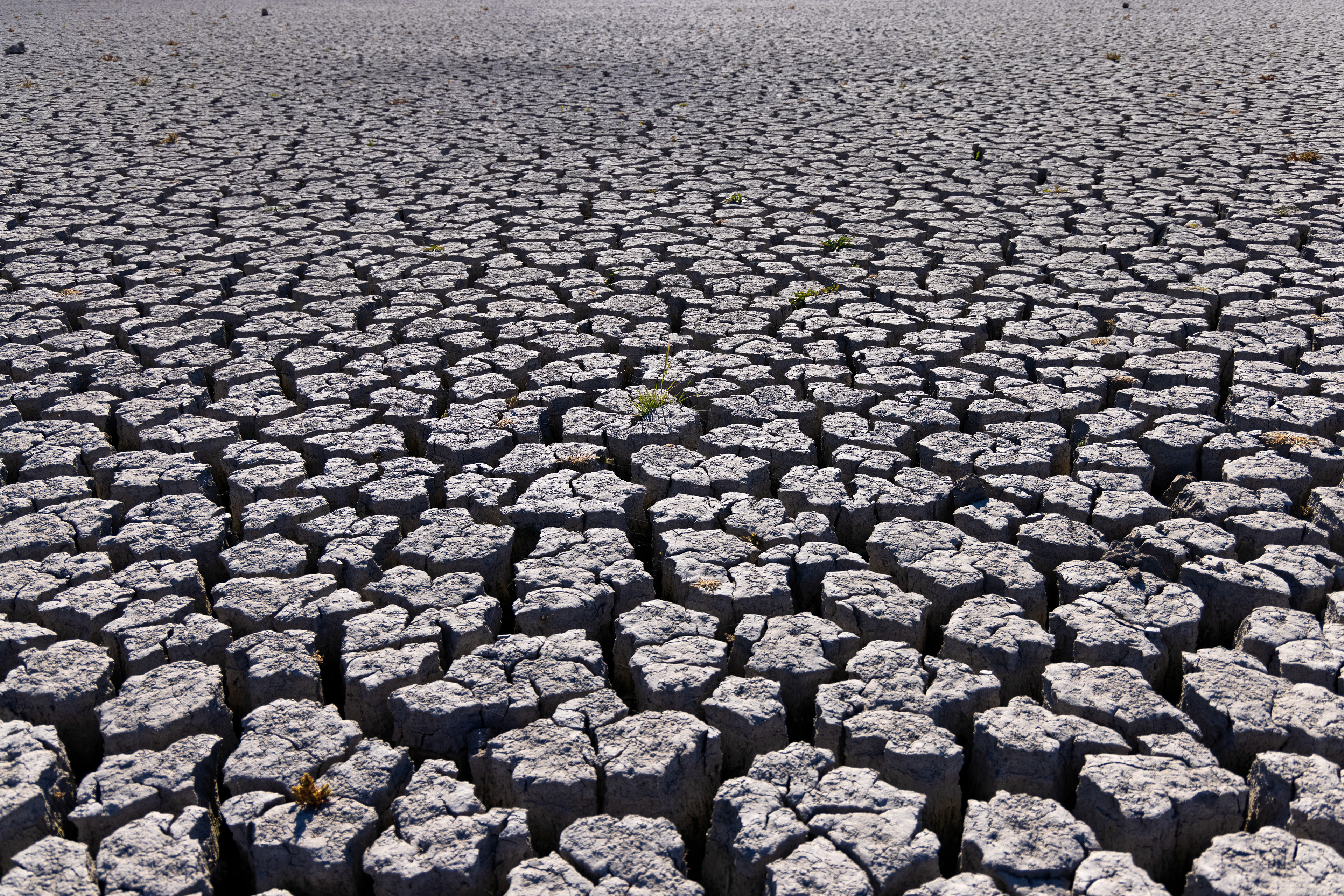 Dried Up - Washoe Valley, NV