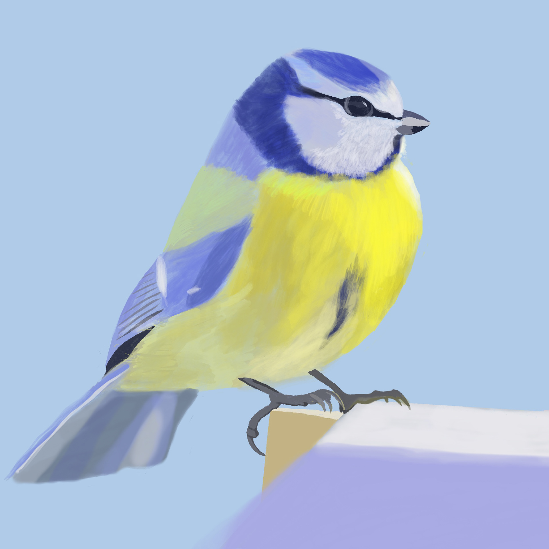 Une mésange bleue ✨ #mesange #bird #oiseau #naturelovers #nature #birdsofinstagram #birdlovers #illustration #illustratrice #illustrator #digitalart #digitalpainting #digitalillustration #art #instaart #drawingoftheday