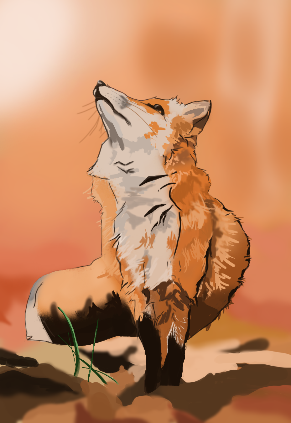 Il a l'air bien pensif ce renard 🤔 #animalart #fox #foxdrawing #animals #wildanimals #animaldrawing #woods #art #drawing #photostudy #digitalpainting #sketch