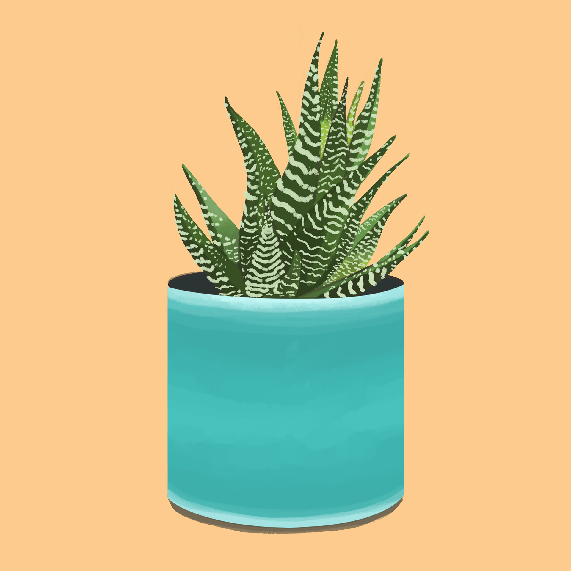 Un tote bag avec une Haworthia Fasciata pour faire ses courses ou transporter des plantes 🌿 mockup : freepik.com Designed by pmvchamara #totebag #haworthia #haworthiafasciata #bycharlot #haworthialover #illustration #digitalillustration #plantlover #plantaddict #plantillustration #interiorplants #plantdrawing #plants #digitalpainting #illustratoroninstagram