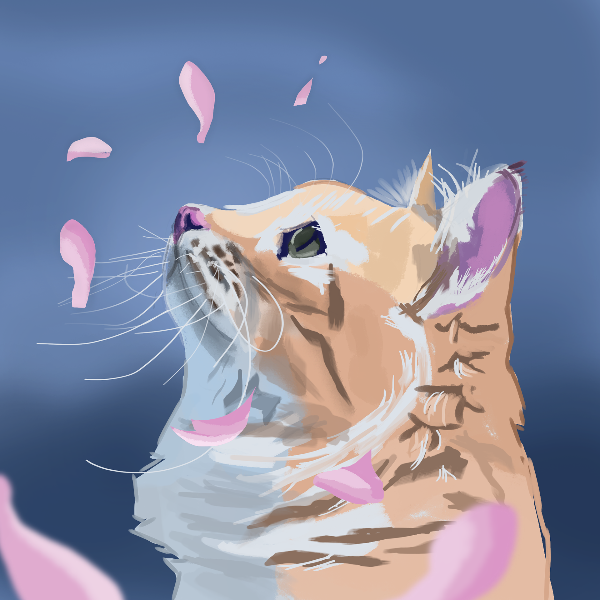 🐱🌸 #chat #cat #gingercat #catlover #animallovers #animalart #animaldrawing #catdrawing #catartist #animals #petartist #petlover #illustration #illustratrice #illustrator #digitalart #digitalpainting #digitalillustration #art #instaart #drawingoftheday #photostudy #catsportrait