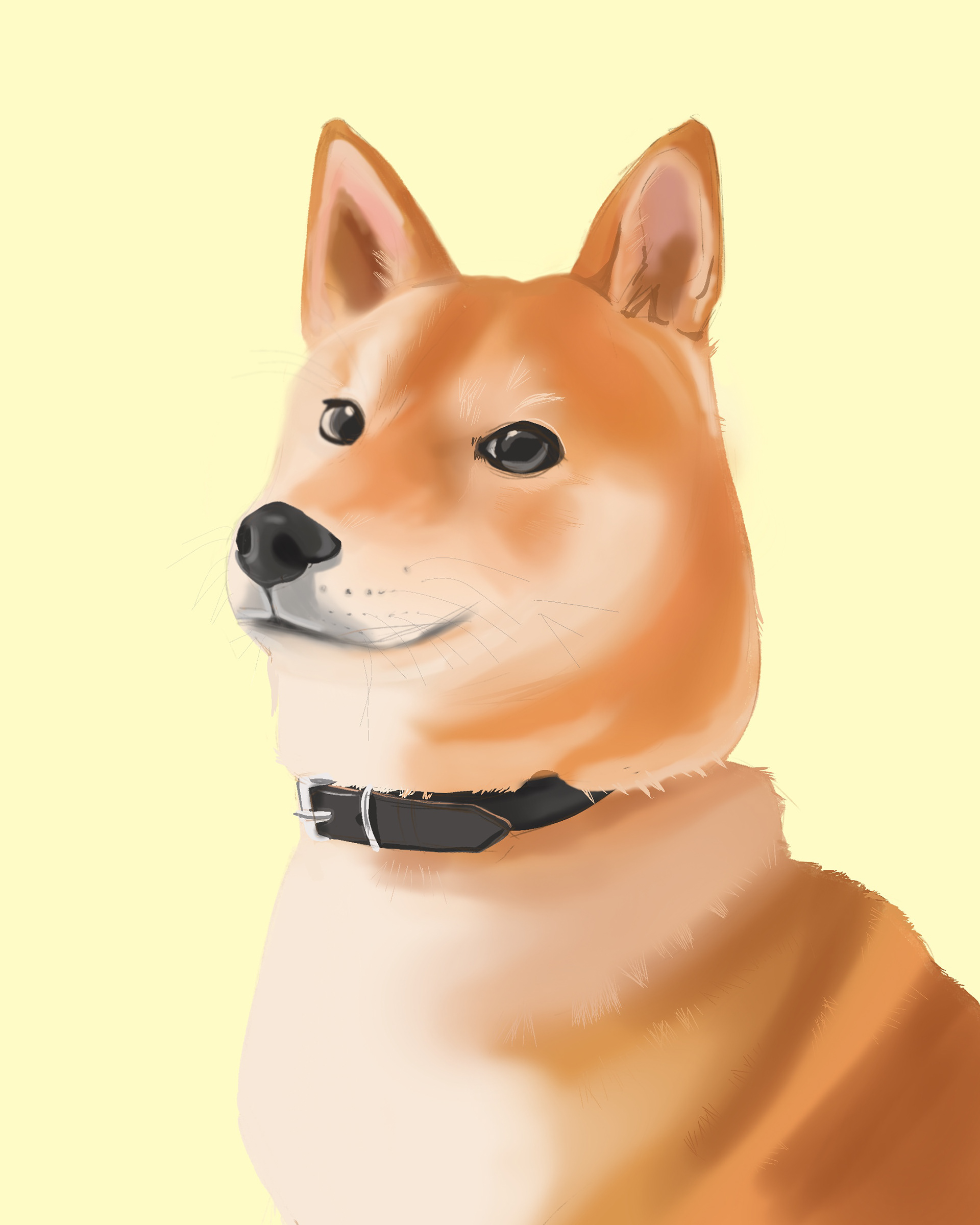 Un shiba inu 🐕♥️ Swipe pour voir le timelapse ! ✨ #dogdrawing #doglovers #shibainu #shibainudrawing #shibaart #shibadrawing #shibalove #animalart #petdrawing #petlovers #dogsketch #dogartist #animals #animallovers #illustration #illustratrice #illustrator #digitalart #digitalpainting #digitalillustration #procreate #art #instaart #drawingoftheday