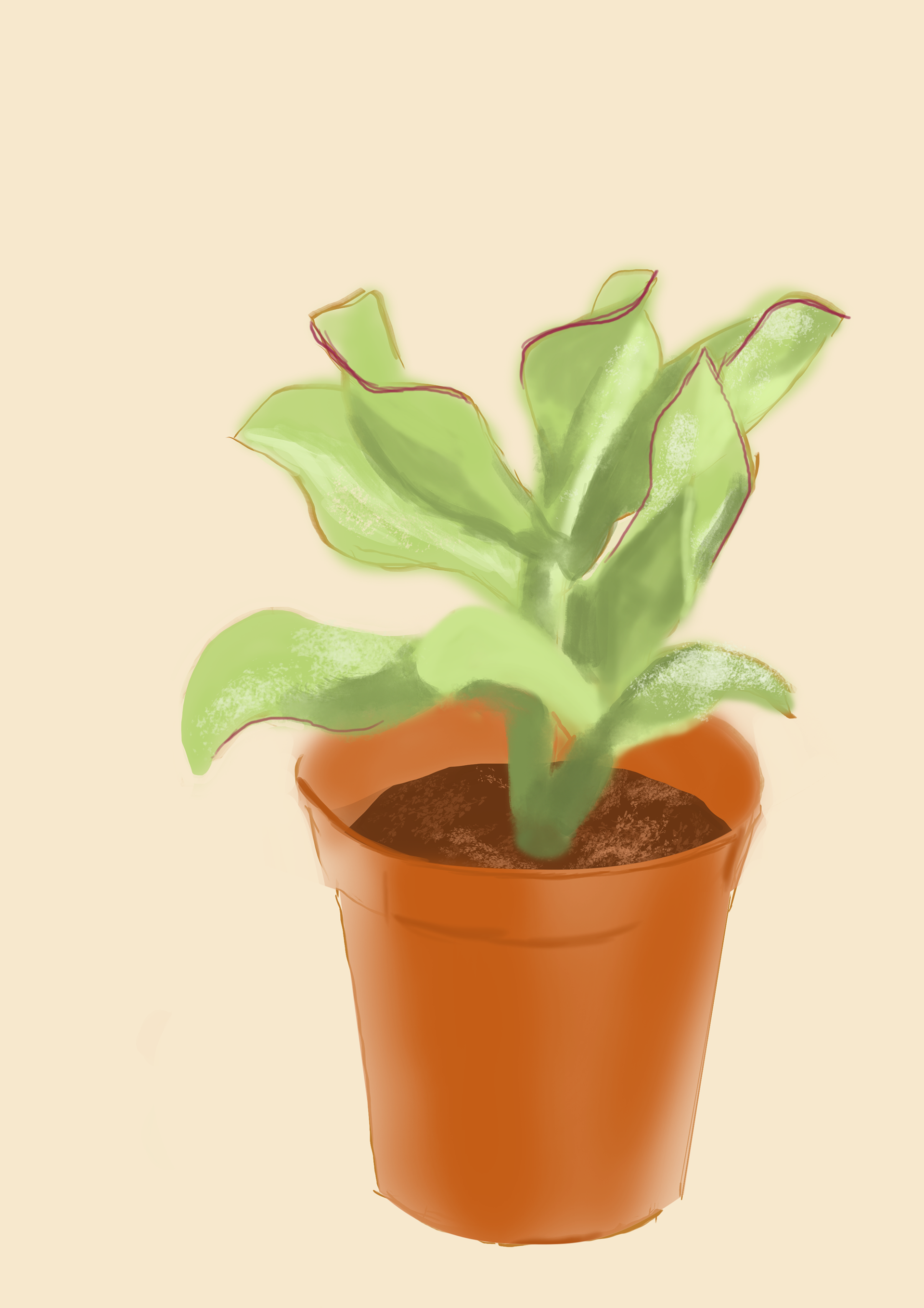 La crassula arborescens 🌿 une de mes préférées parmi mes mini plantes de chez @plantespourtous Elle est toujours en forme ! . . . . #plantlover #plantespourtous #crassula #plantillustration #plants #interiorplants #illustration #plantdrawing #plantes #draw #plantart #plantpainting #digitalart #digitalpainting