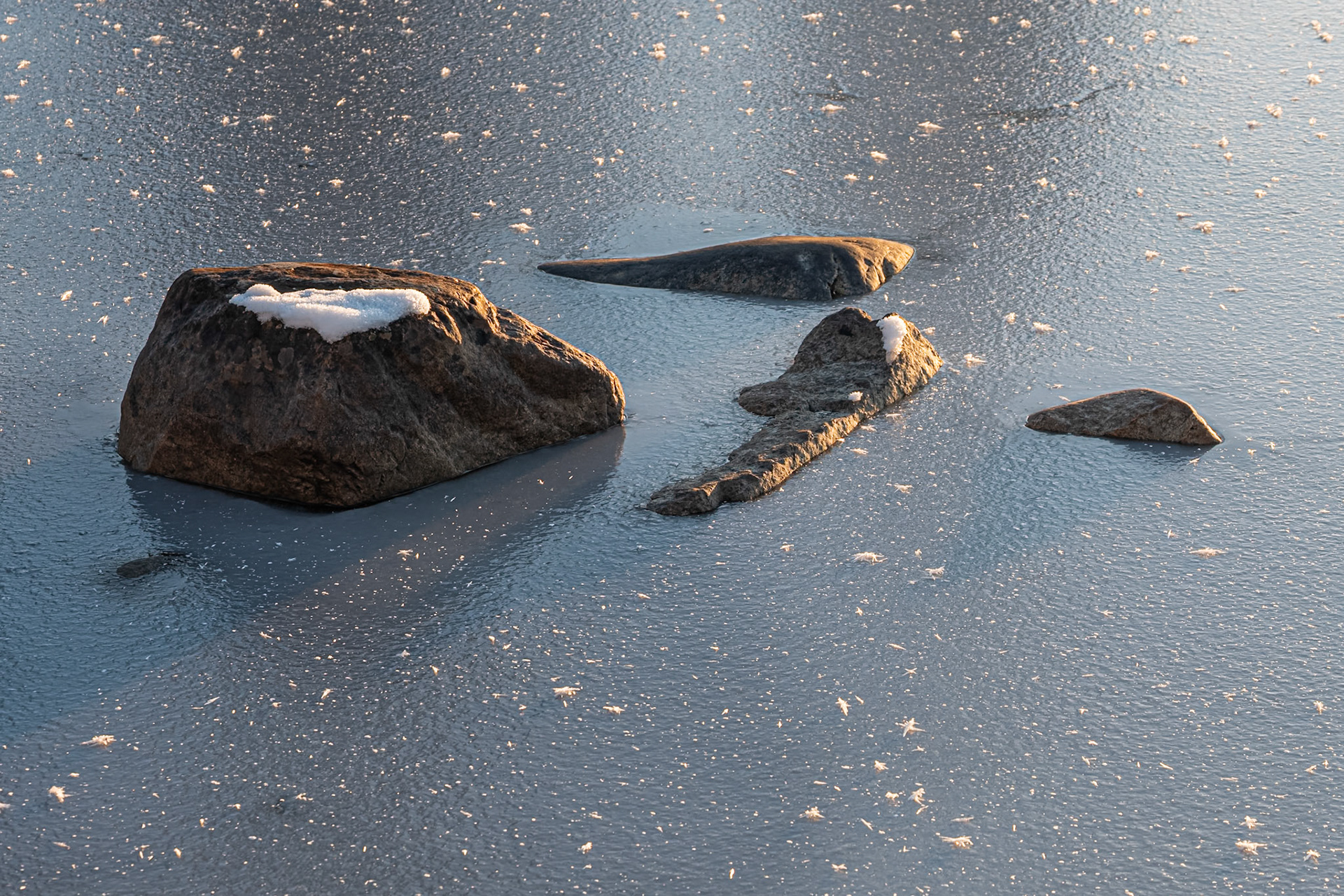 "Ancient Creatures"— Bångnäs, Sweden, October 20, 2023