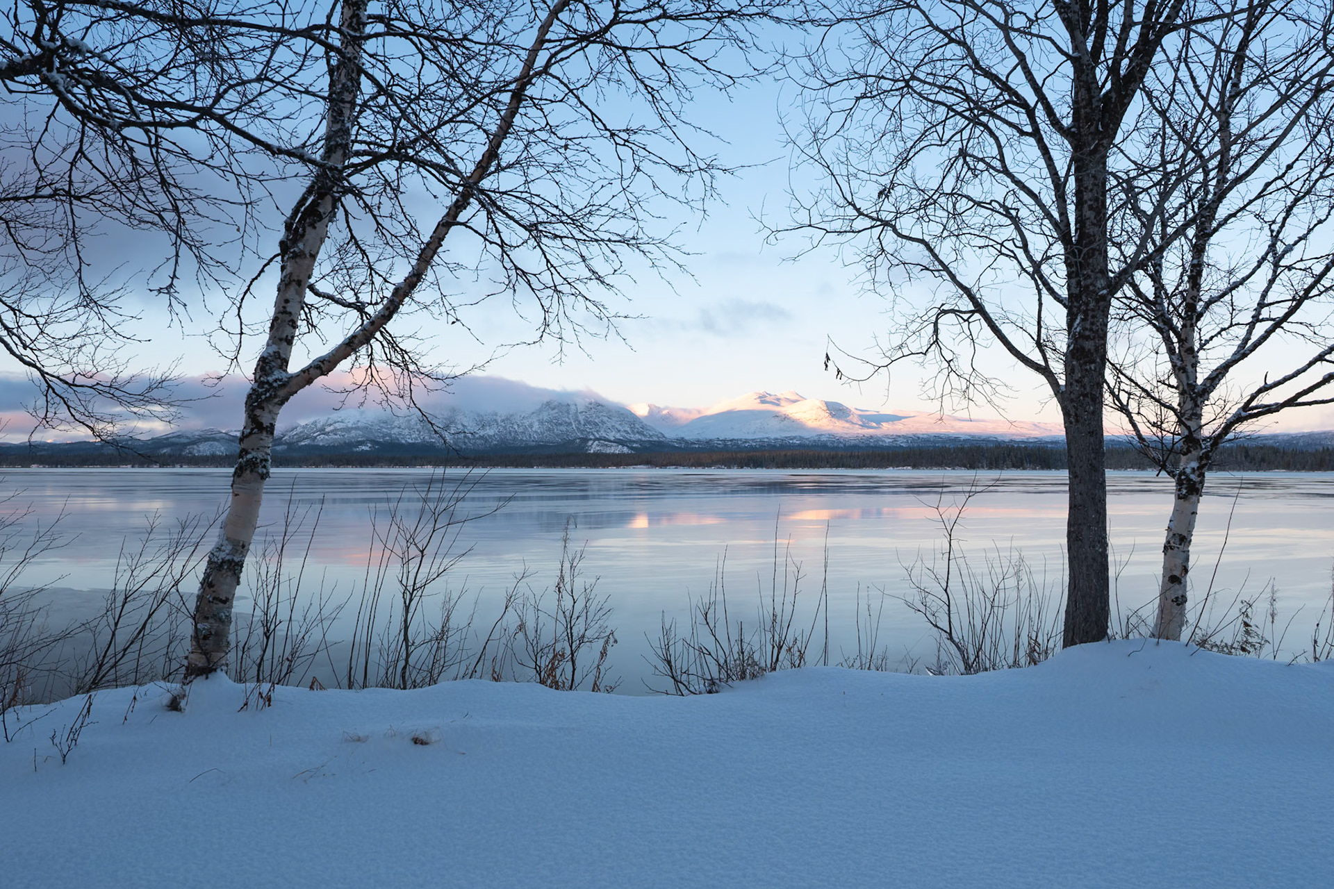 "Guardians" — Saxnäs, Sweden, November 16, 2025