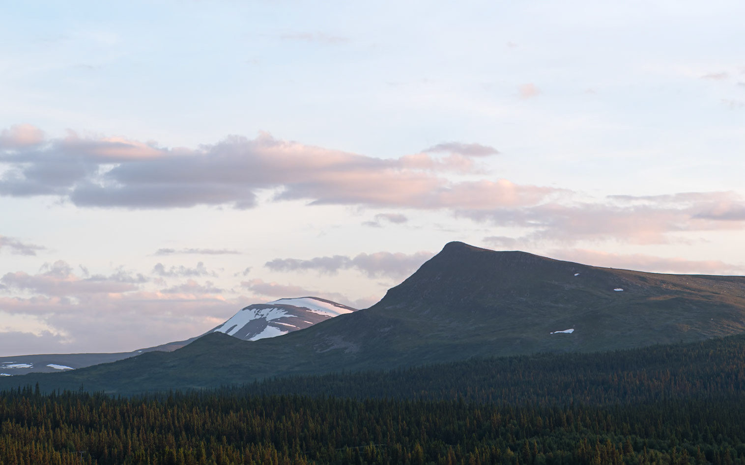 "Wolverine"— Satsfjället, Sweden, July 12, 2025