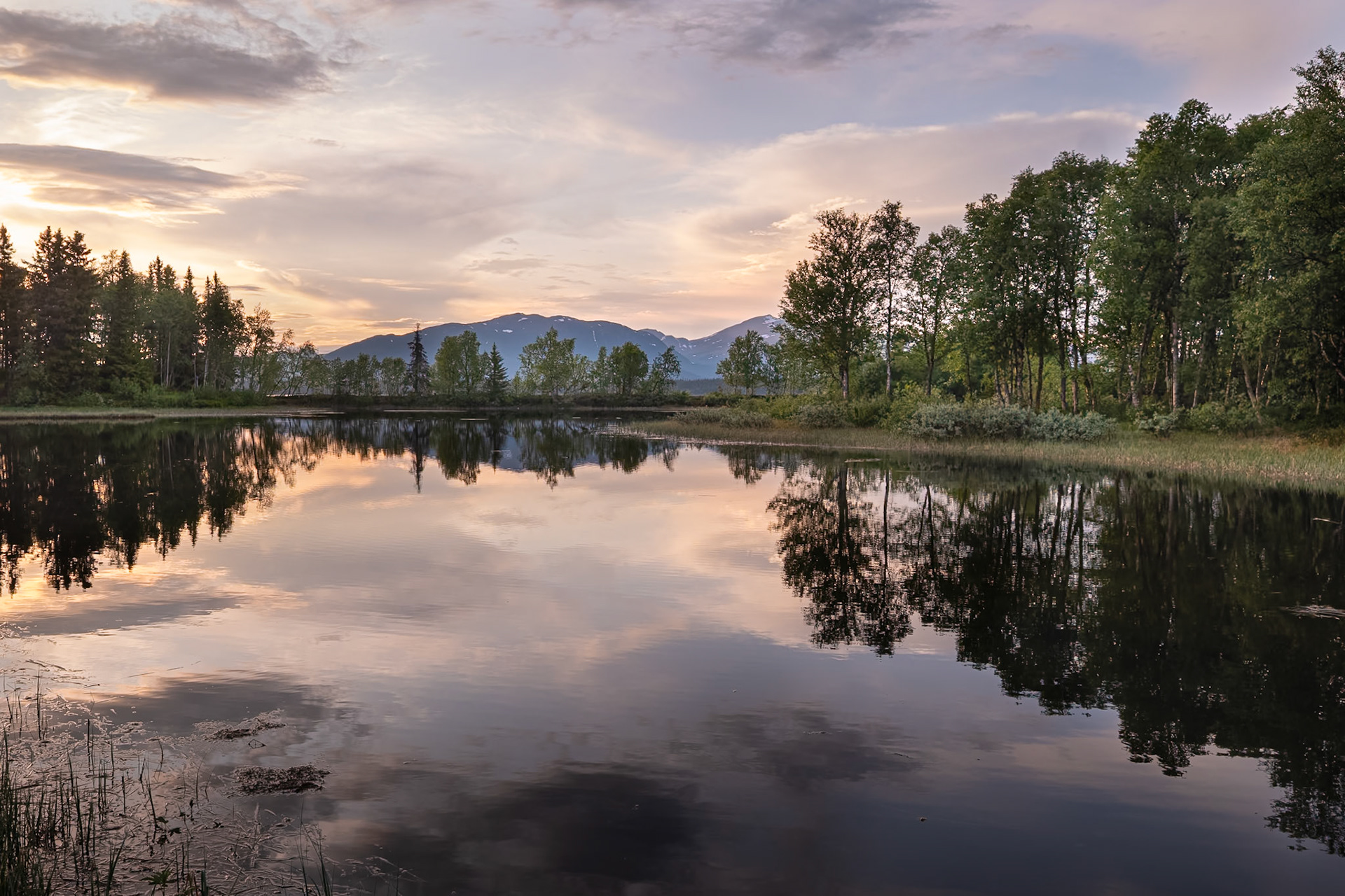 "Vivid Dreams" — Marsfjällen, Sweden, June 20, 2023
