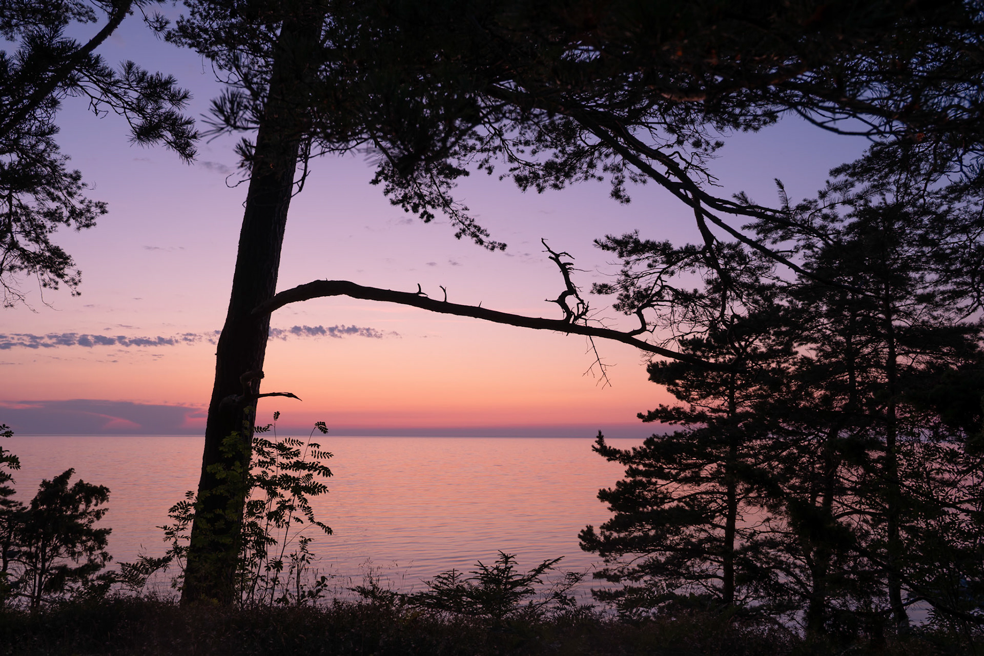 "Elusive" — Ekstakusten, Gotland, Sweden, July 17, 2025