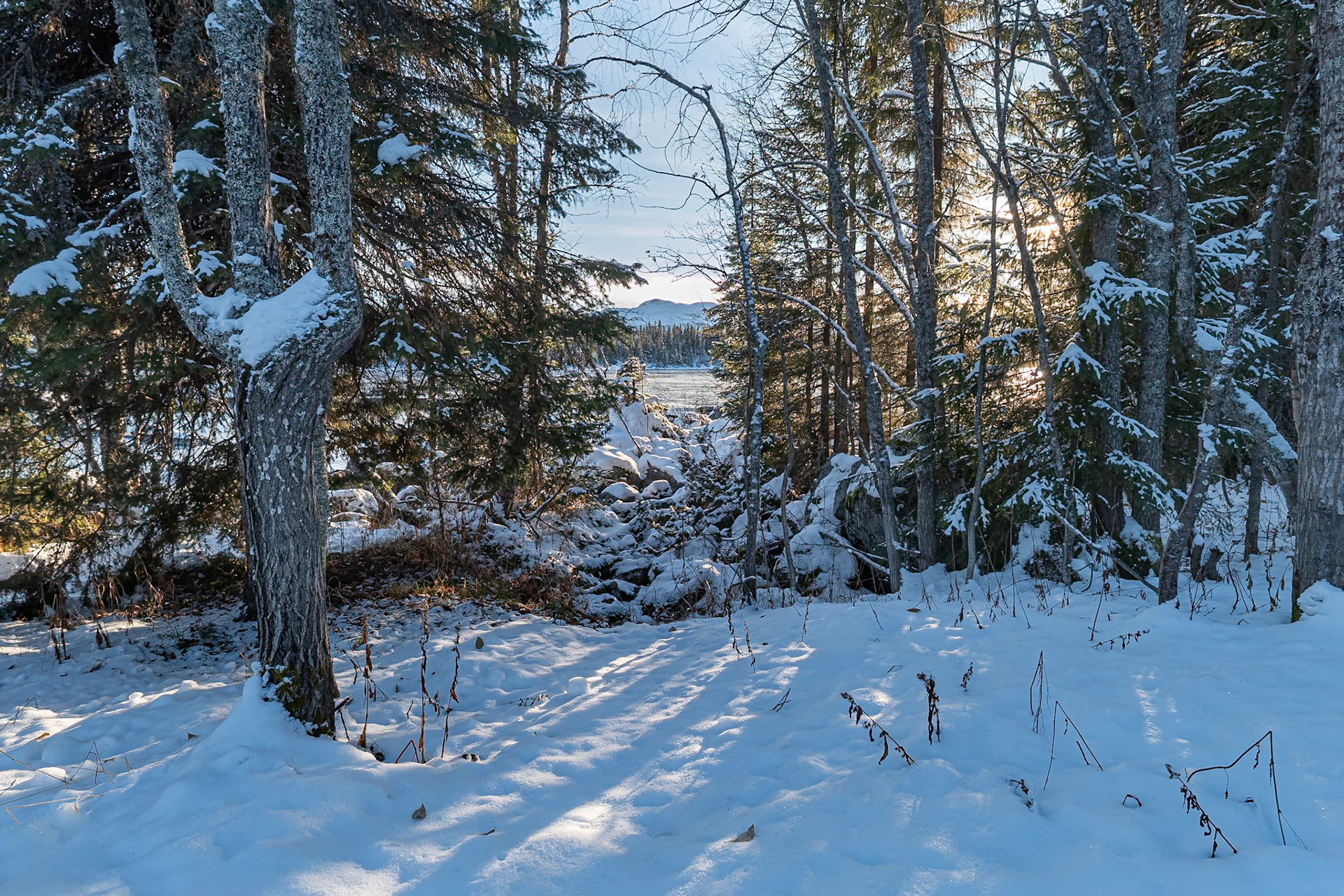 "Ritual"— Bångnäs, Sweden, October 20, 2023
