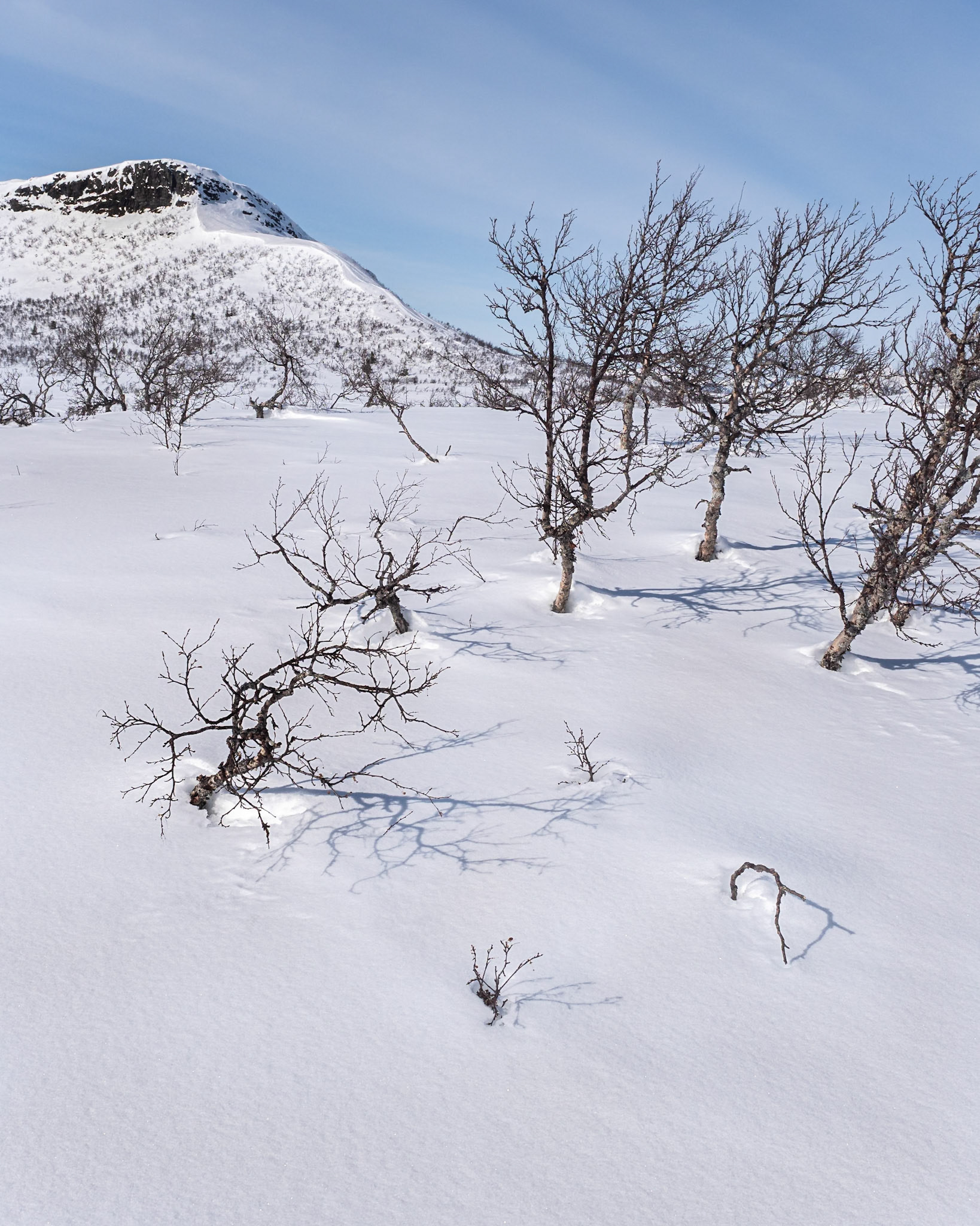 "A Breath of Fresh Air" — Saxnäs, Sweden, April 9, 2022