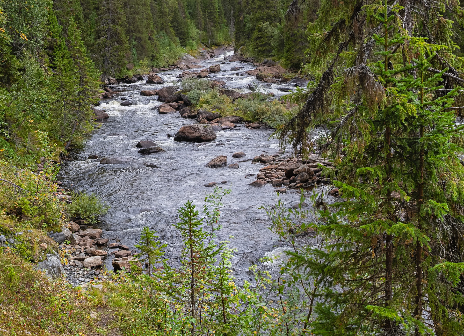 "The Church of the Trout"— Saxnäs, Sweden, September 1, 2023