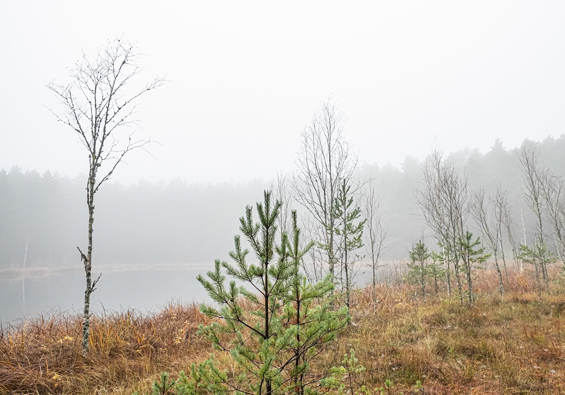 "Fades" — Eskilstuna, Sweden, October 30, 2020