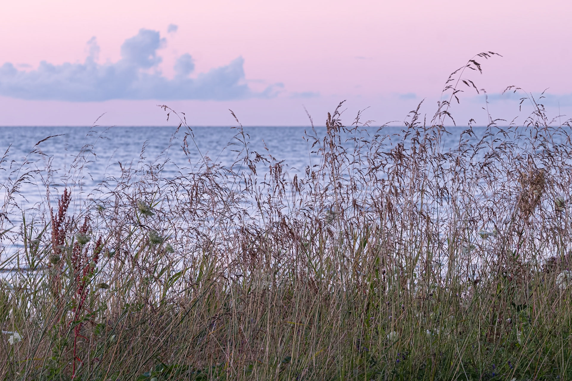 "Barren Horizon " — Sandhamn, Gotland, Sweden, July 23, 2023