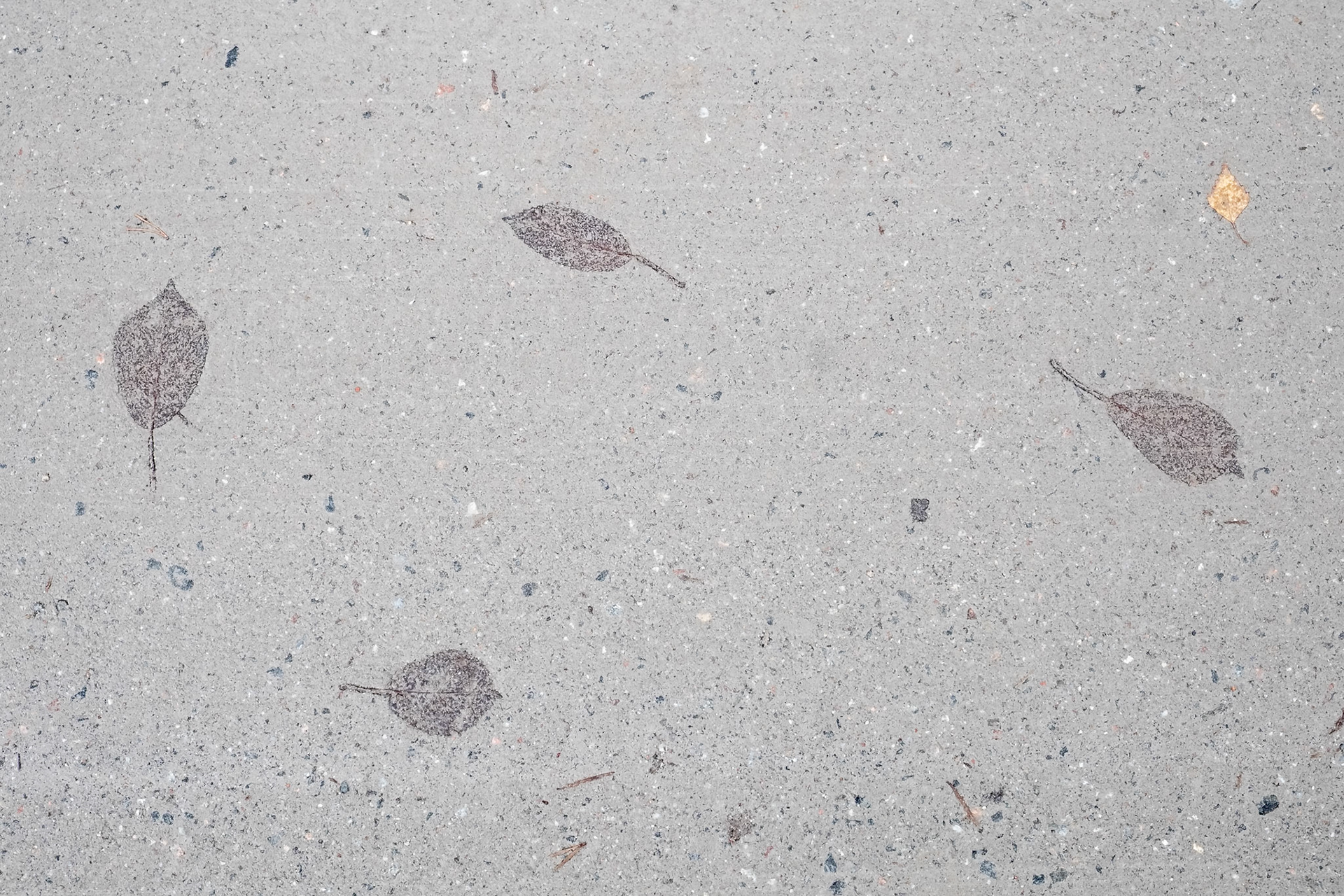 "Traces of Autumn" — Sundvik, Nykvarn, Sweden, October 16 2022