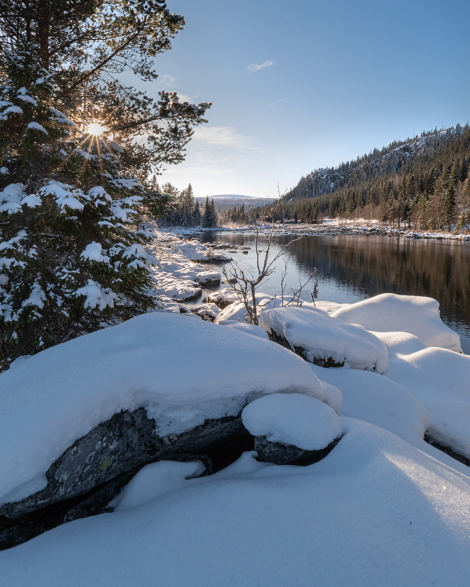 "Cold Consolation"— Bångnäs, Sweden, October 20, 2023