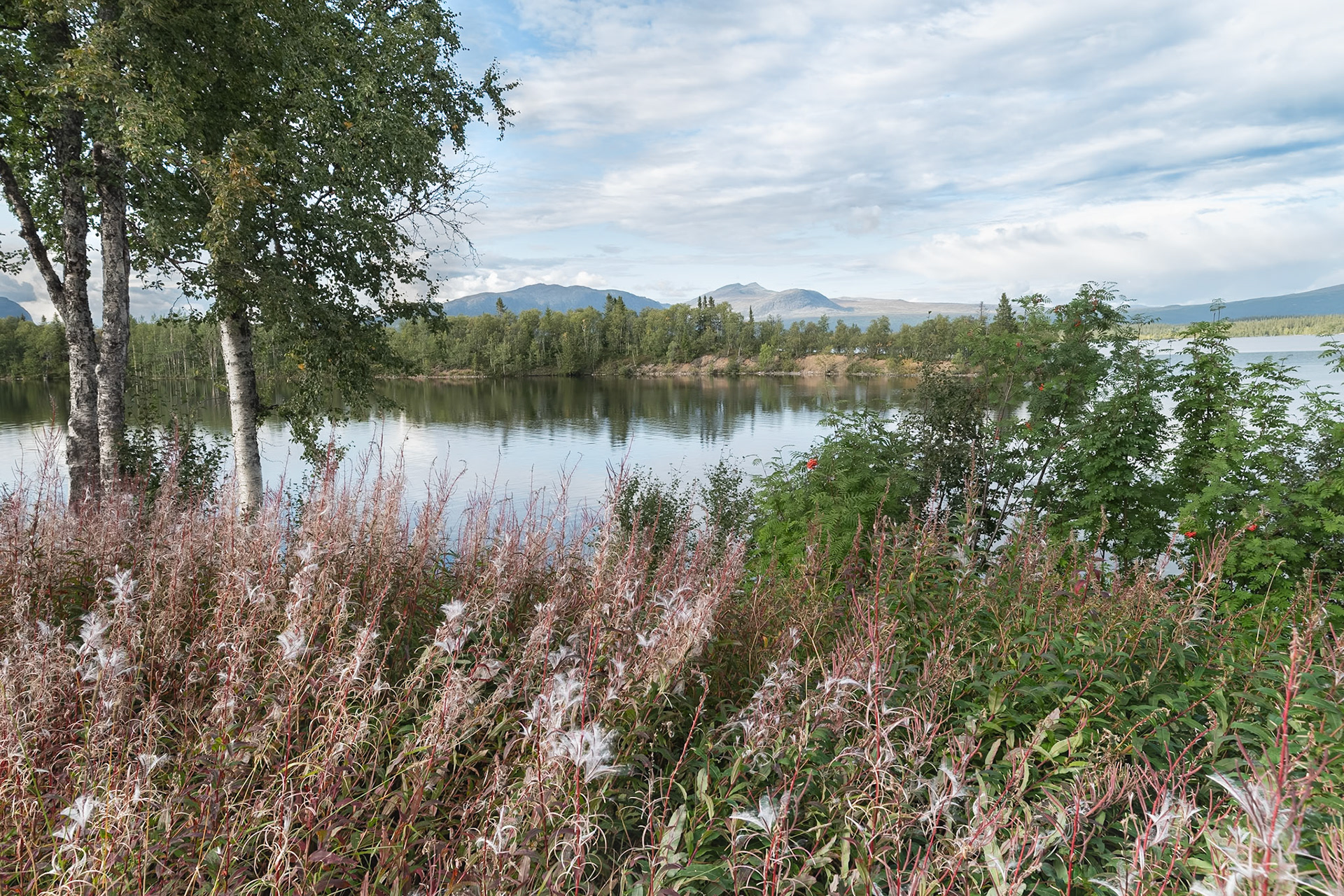 "Changes"— Marsfjällen, Sweden, August 31, 2023