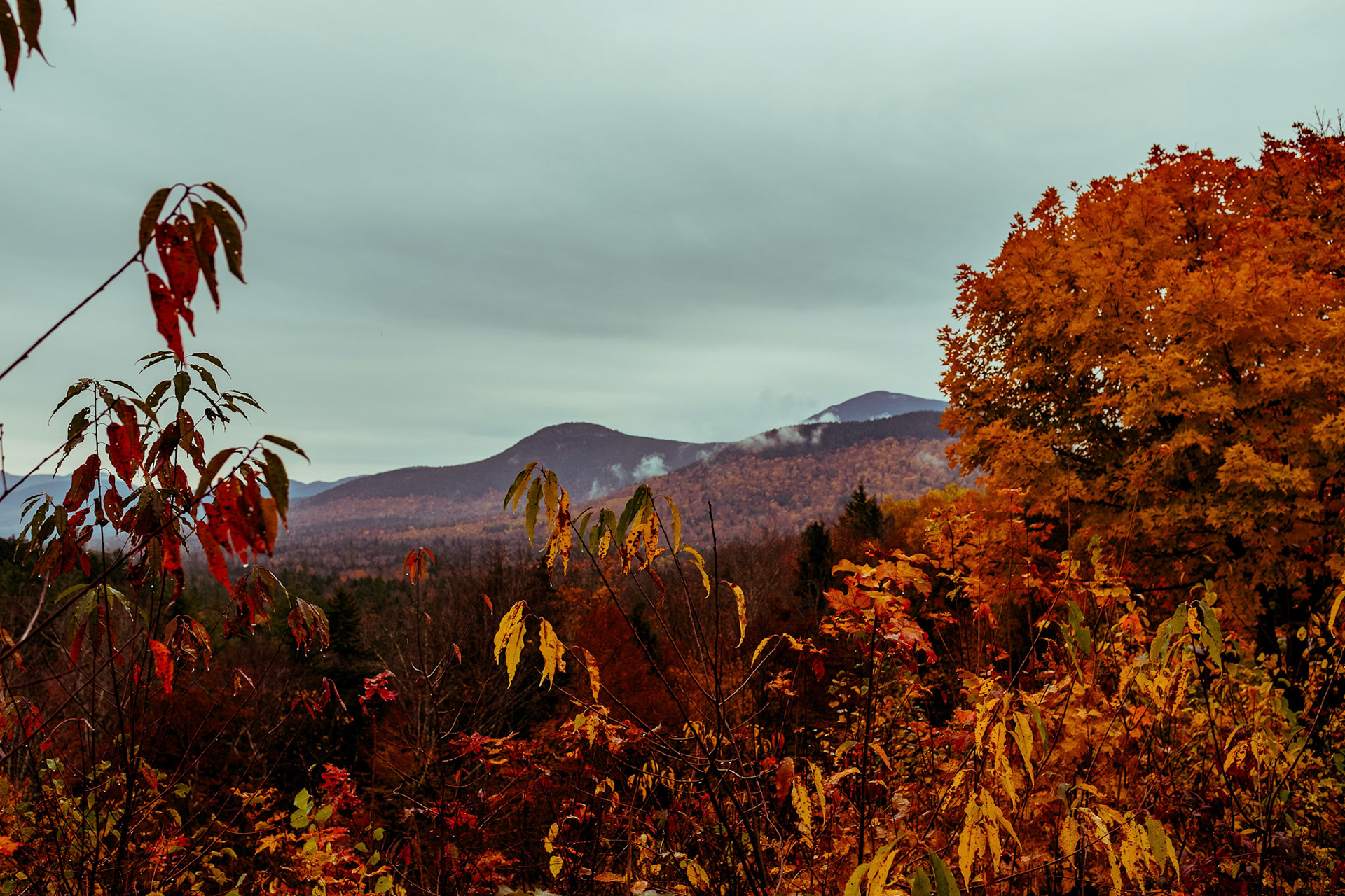 White Mountains - New England