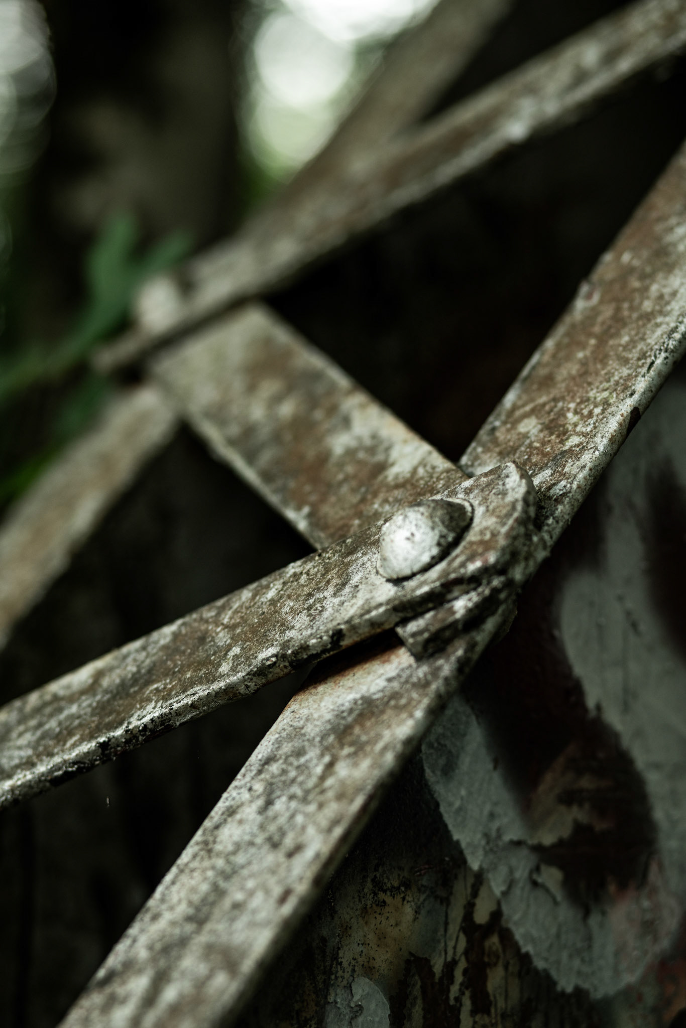 Abandon Alabama
