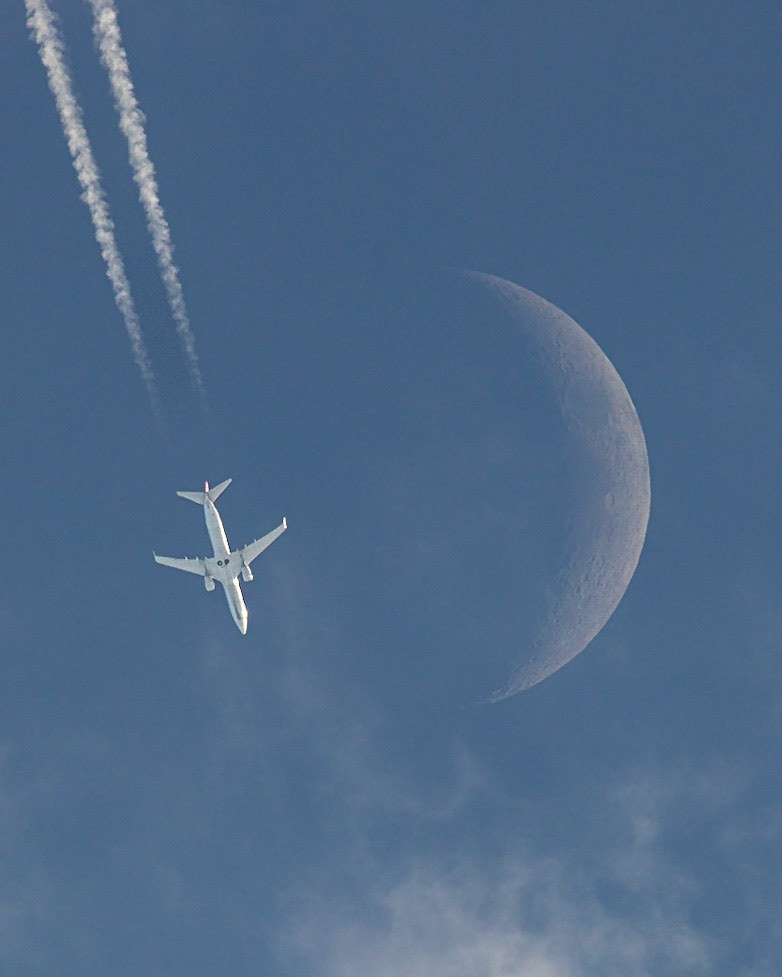 🌒: 20% Waxing✈️: American Airlines flight 775The clouds over the Space Coast cooperated just enough for a peek at this Boeing 737-823 as it passed by the Moon. It was flying from Charlotte (CLT) to Miami (MIA) @ ~38k feet &amp; 469 kts.(📷: me, flight data by Flightradar24.com)