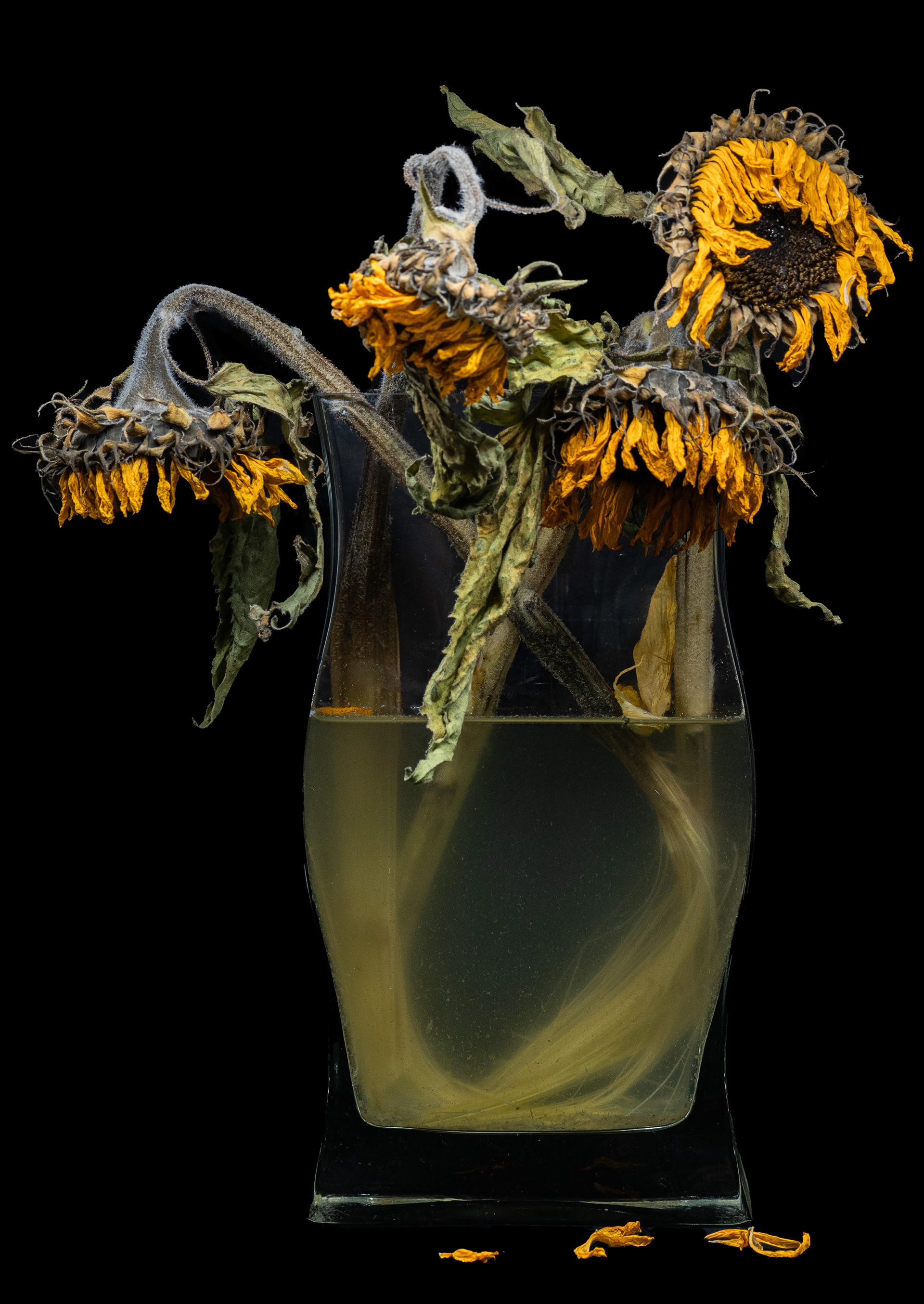 All Good Things Must End