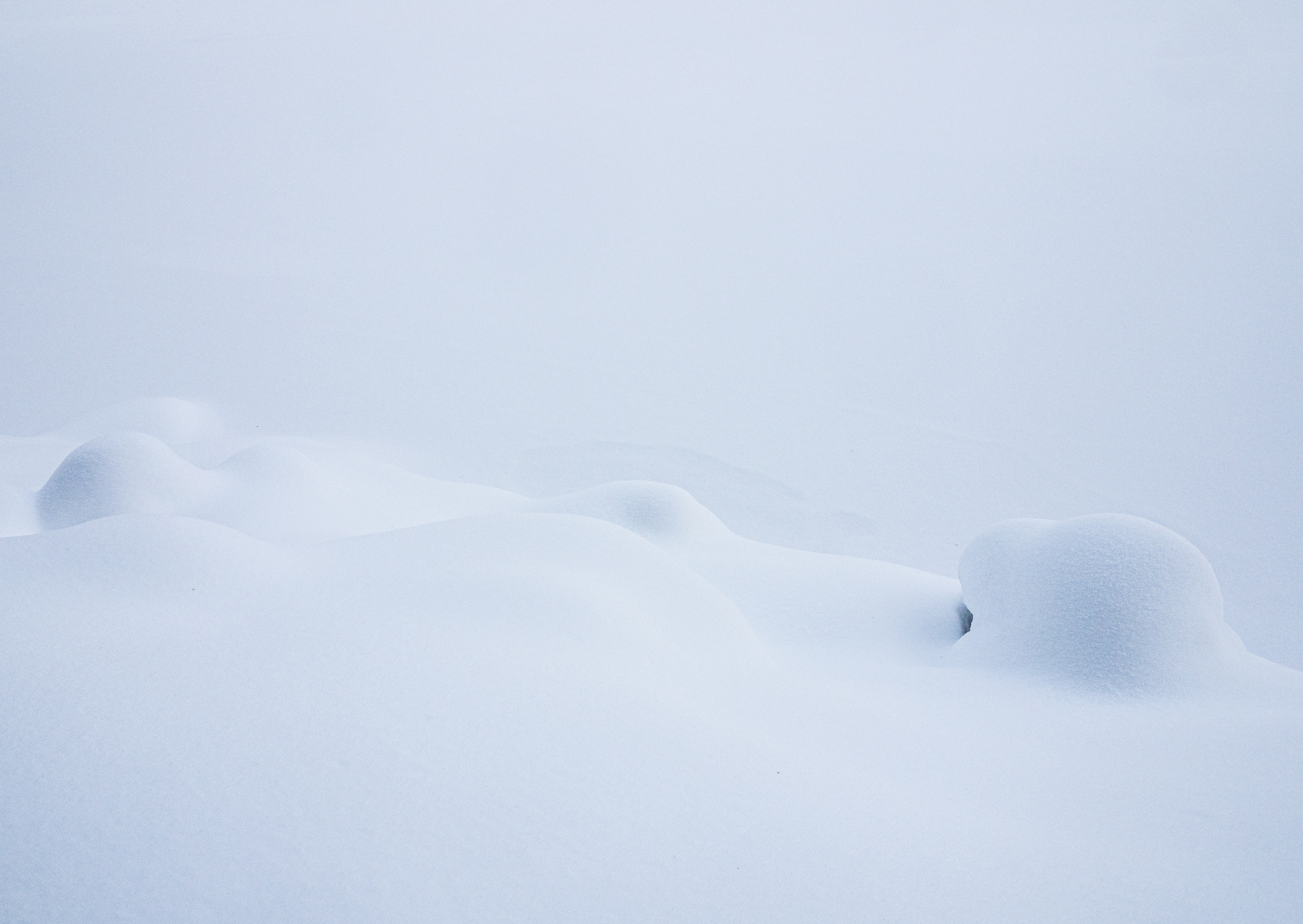 Snowdrift