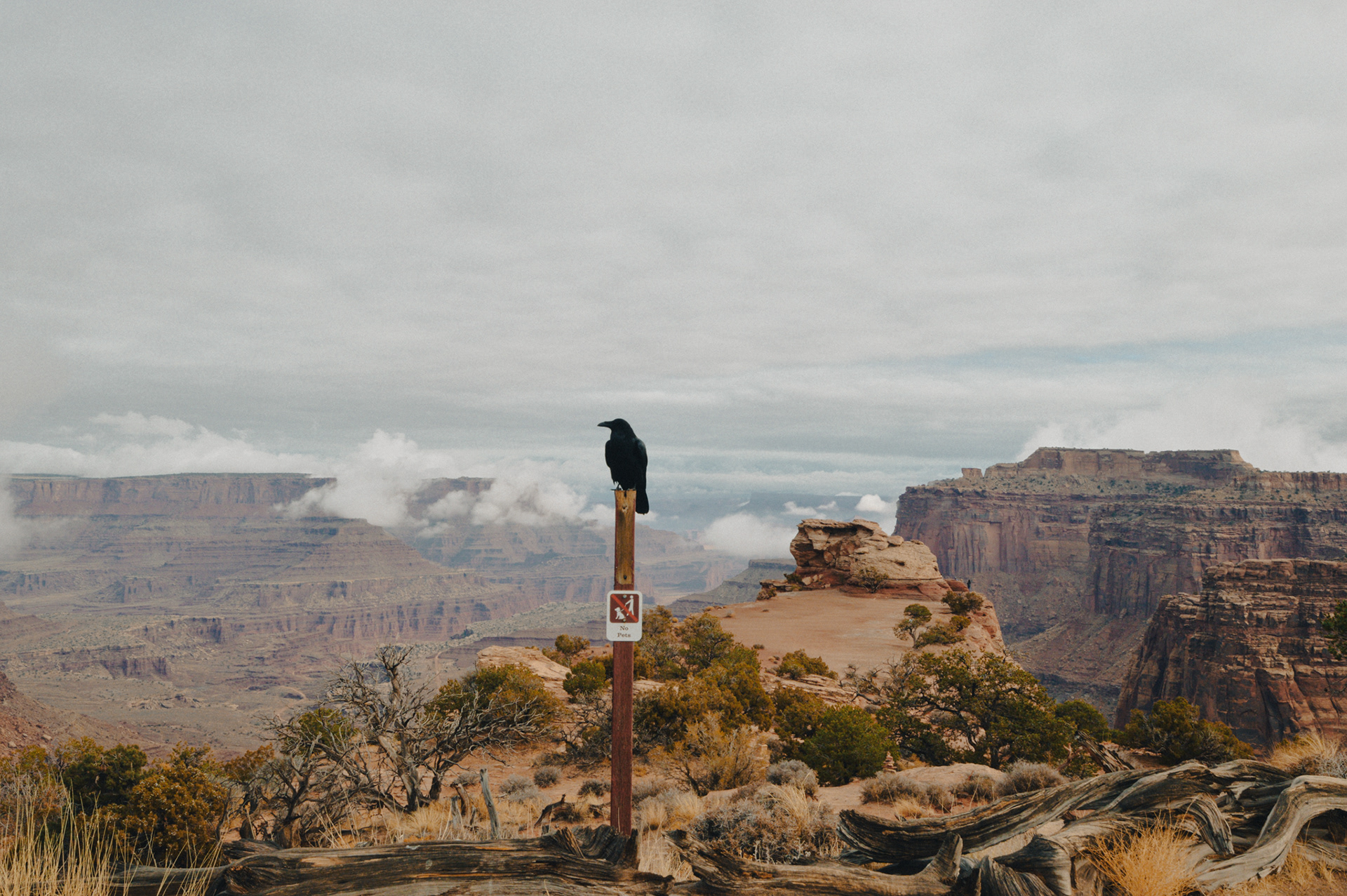 Canyonlands National Park USA