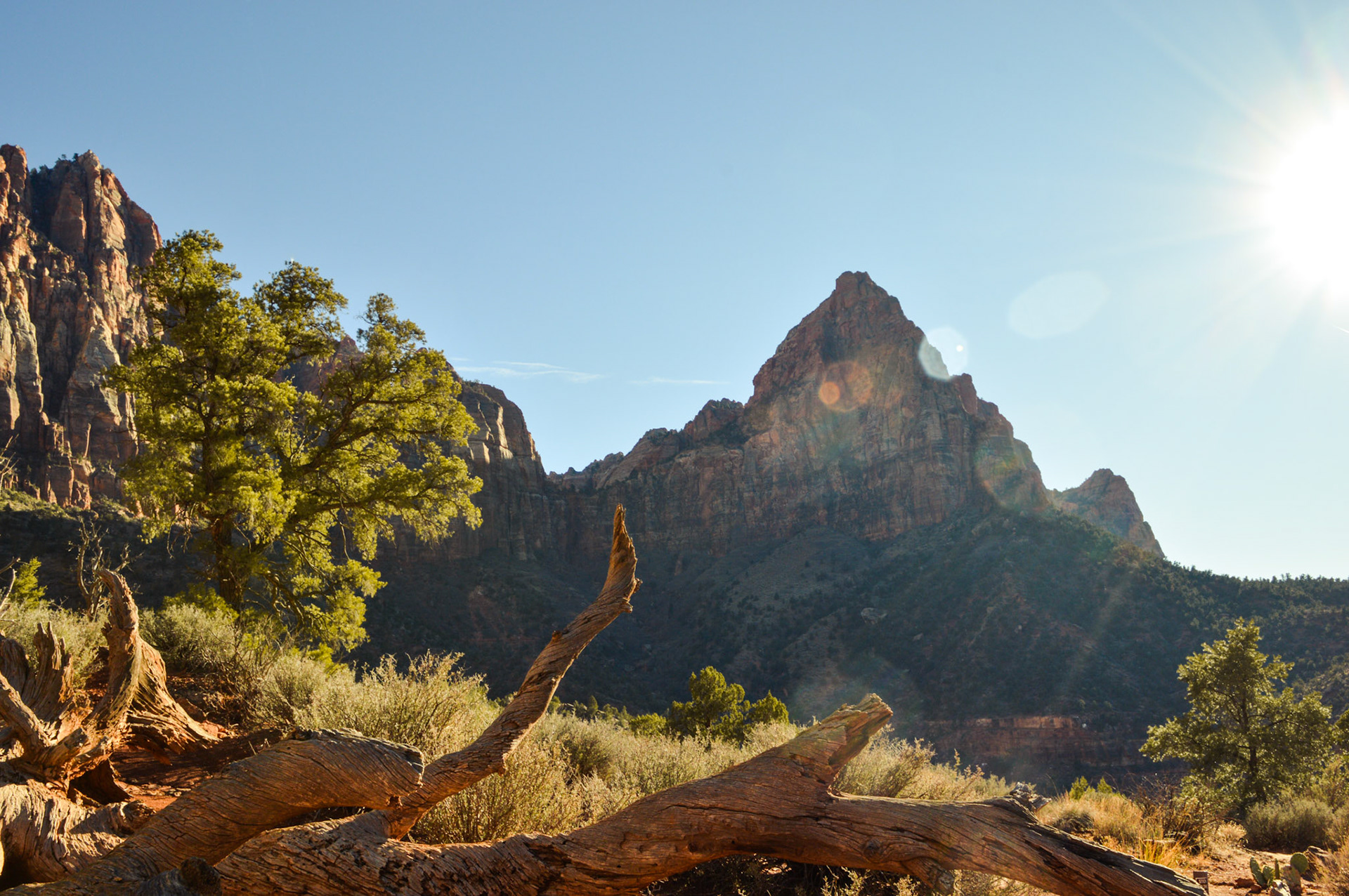 Zion National Park USA