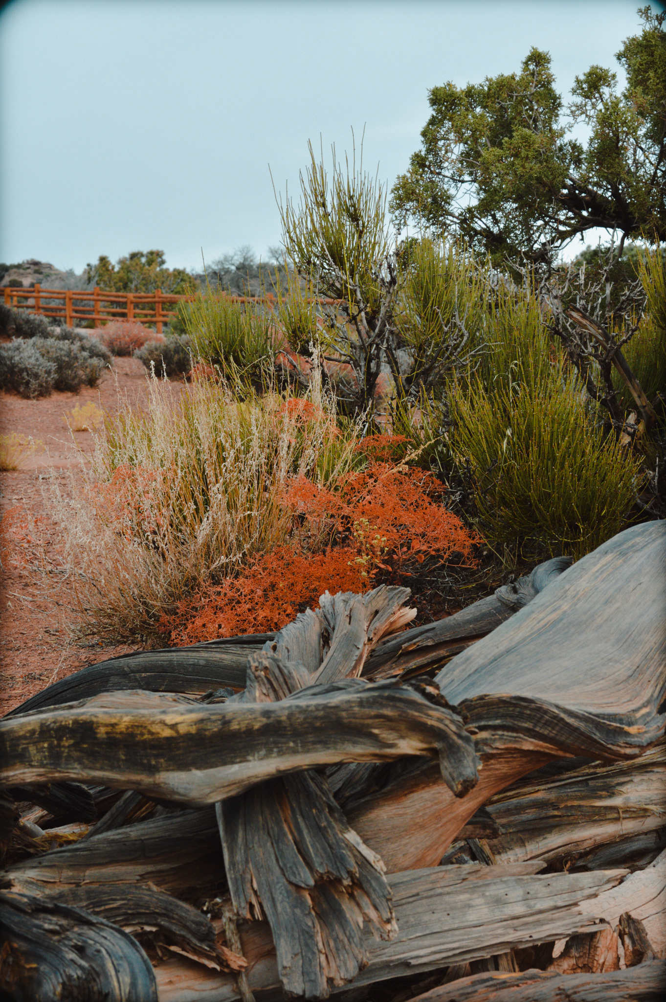 Canyonlands National Park USA