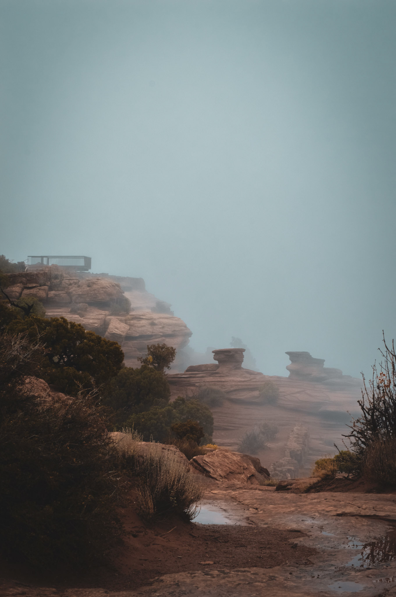 Dead Horse Point State Park USA