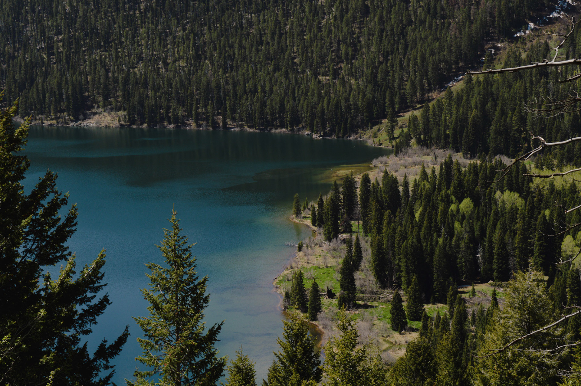 Grand Teton National Park USA