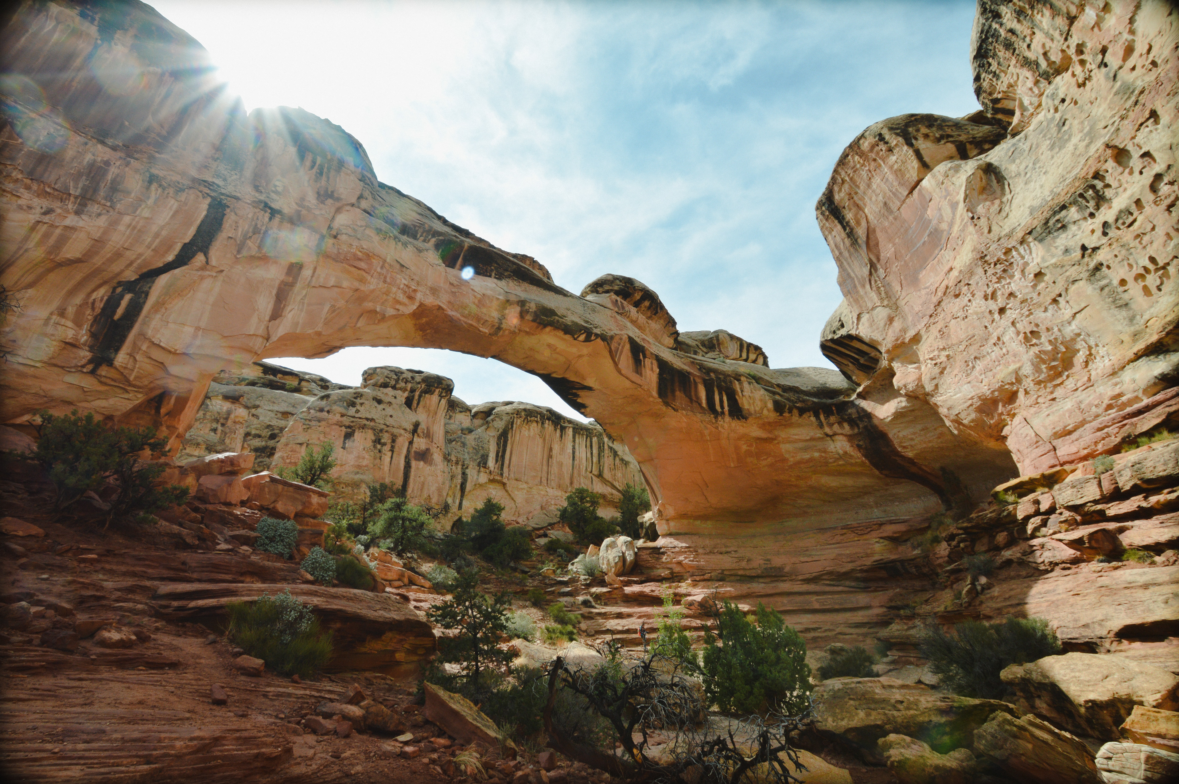 Capitol Reef National Park USA