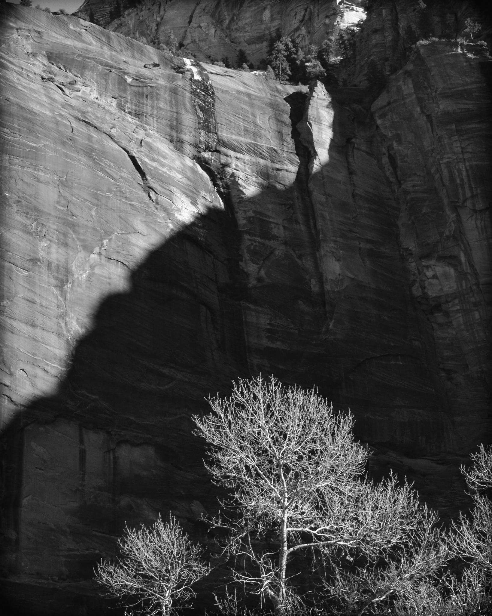 Zion National Park USA