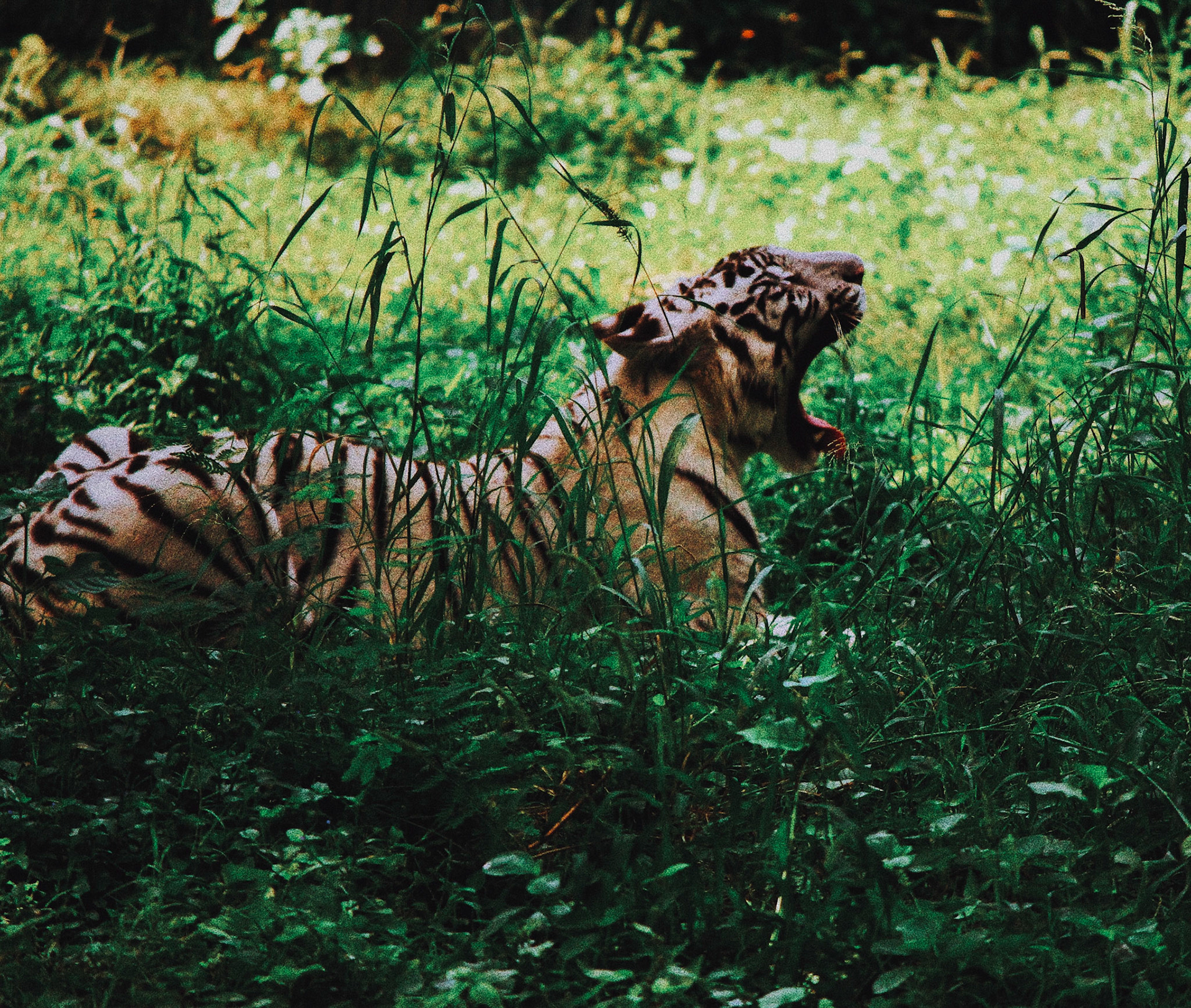 Processed with VSCO with c5 preset